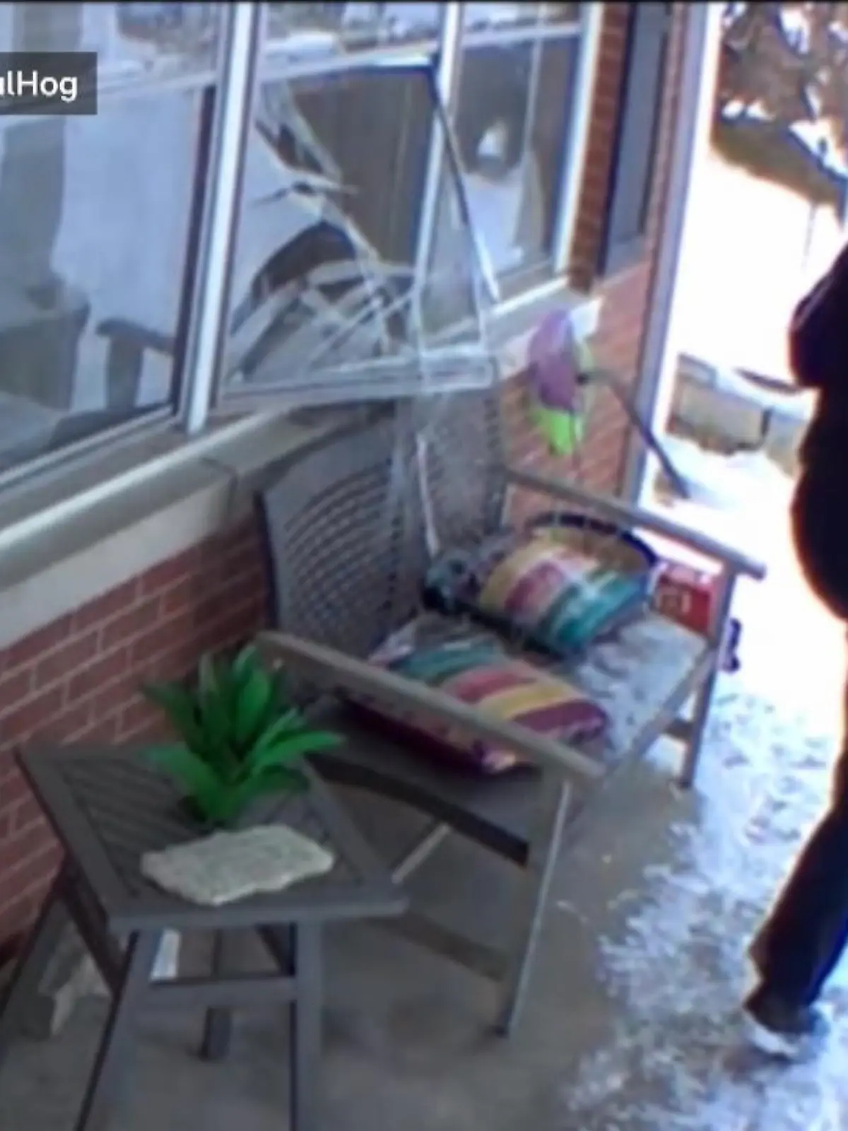 Ein FedEx-Bote bekommt den Schock seines Lebens. Als er ein Paket vor die Tür stellt, klirrt es neben ihm. Der Hund im Haus kläfft ihn an und zerbricht dabei die Scheibe.