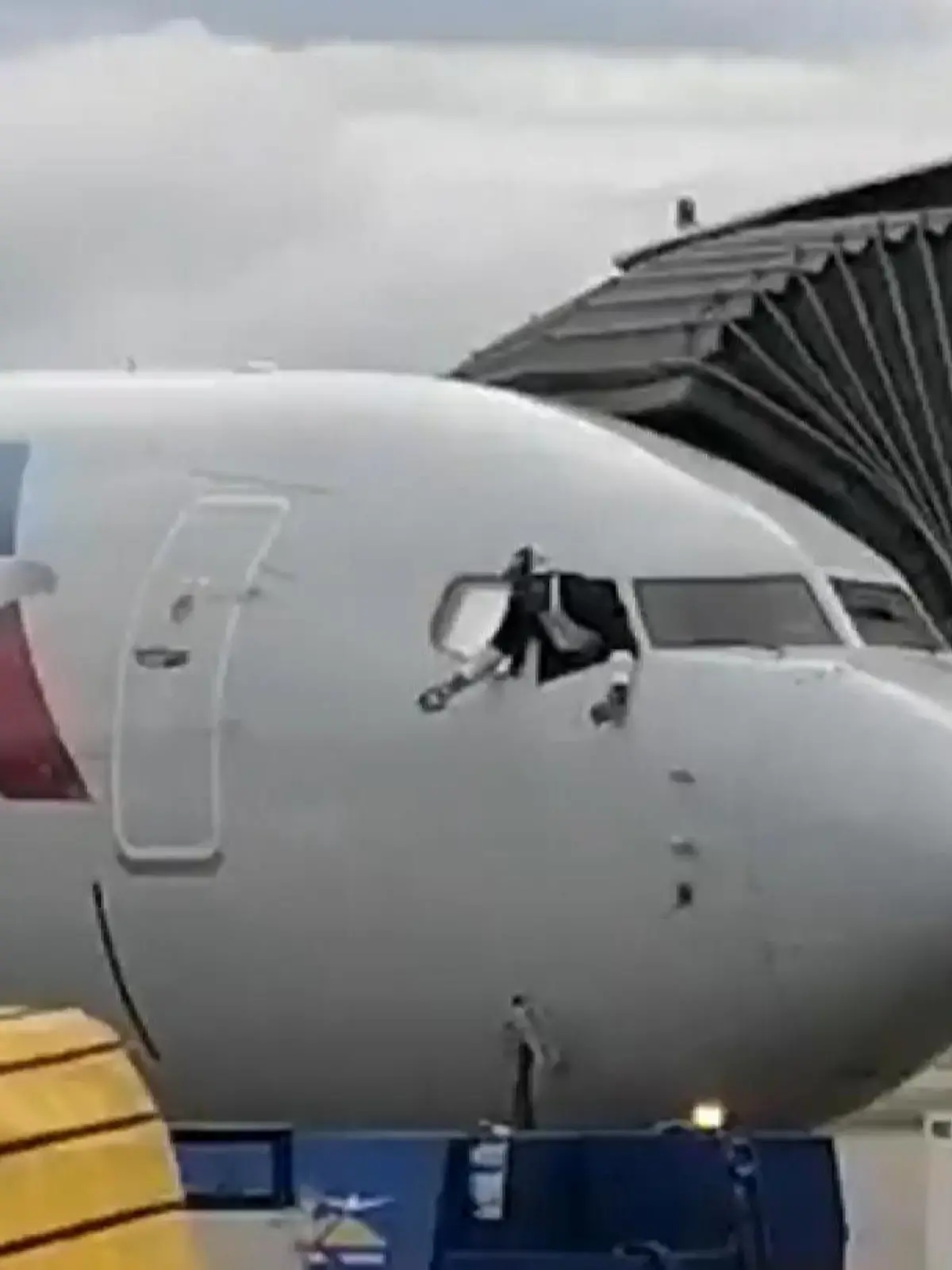 Bild zu: "Mann will aus Cockpit-Fenster flüchten"