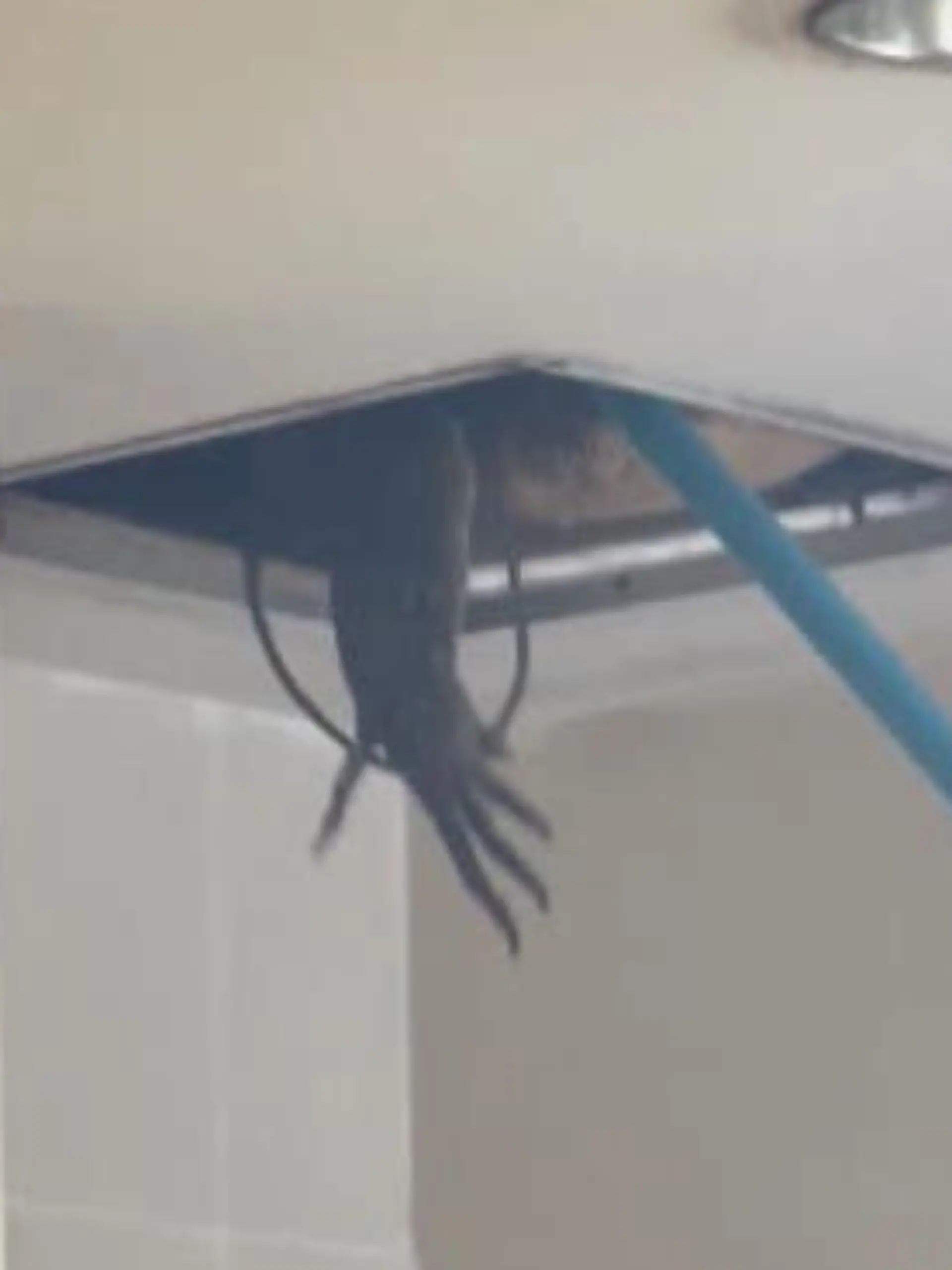 Da will man einfach nur kurz ins Bad - und dann hängt da eine HAND aus der Decke?! Für diese Studenten wurde dieser Horror-Wirklichkeit. Doch welcher Grusel-Gast hat sich auf dem stillen Örtchen verschanzt? Die Antwort gibts im Video!