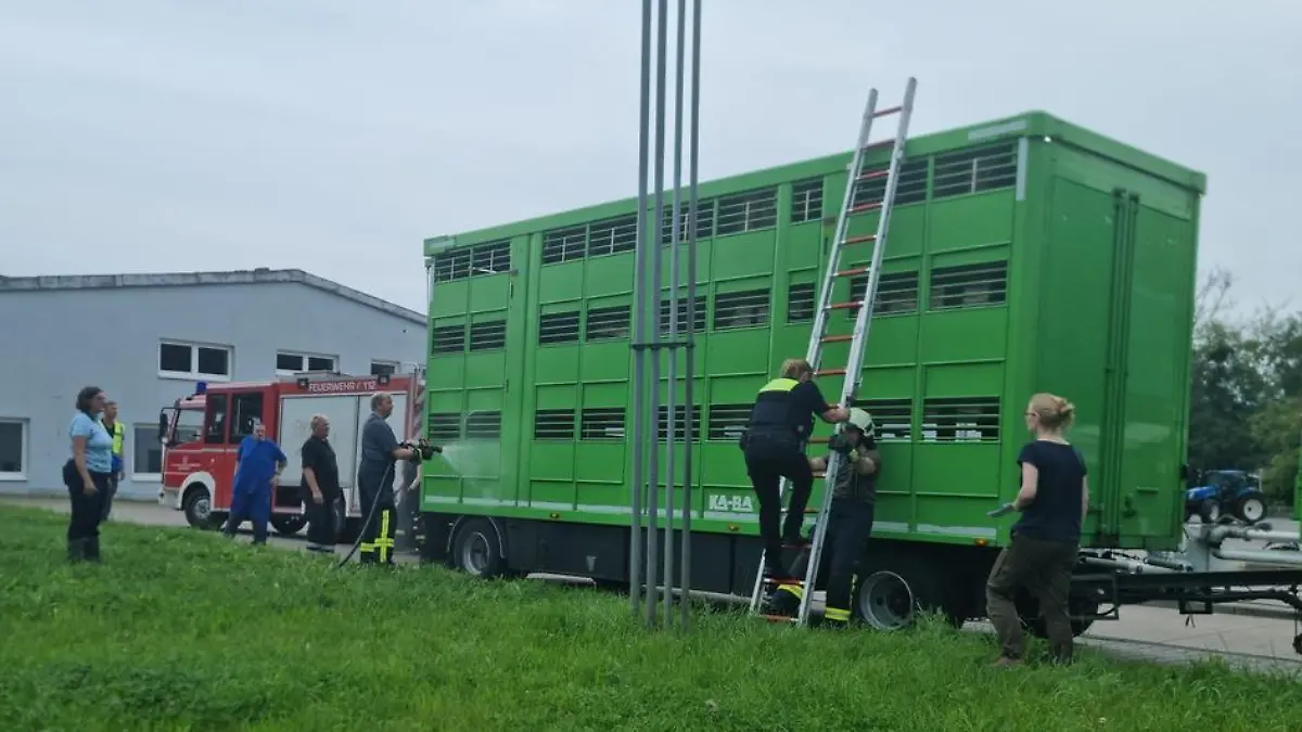 Durch die Feuerwehr werden die Tiere mit Wasser bespritzt, wodurch sie wieder lebhafter werden.