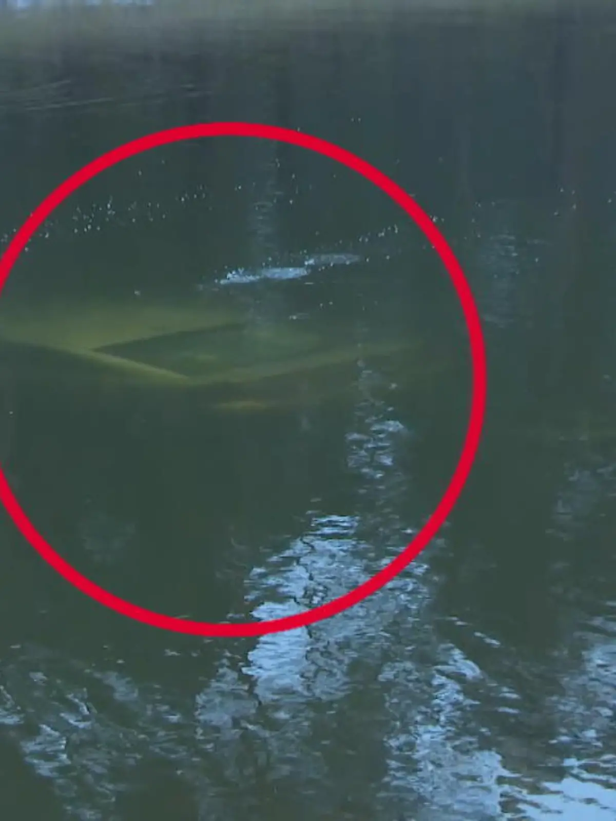 Zwei mutmaßliche Einbrecher sind in Brandenburg auf der Flucht vor der Polizei mit ihrem Auto im Oder-Spree-Kanal gelandet. Wie die Polizeidirektion Ost mitteilte, wurde die Polizei in der Nacht auf den Dienstag zu einem möglichen Einbruch in einer Schule in Gosen-Neu Zittau (Kreis Oder-Spree) gerufen. Dort seien die Beamten auf drei Personen gestoßen, die in zwei Autos stiegen und die Flucht ergriffen.
