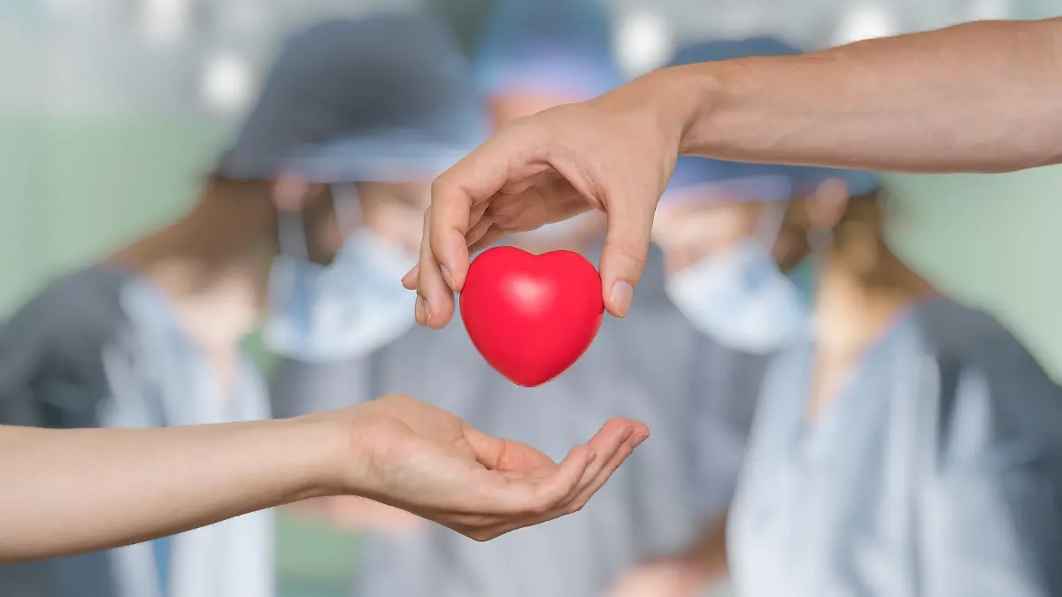 Heart transplant and organ donation concept. Hand is giving red heart.