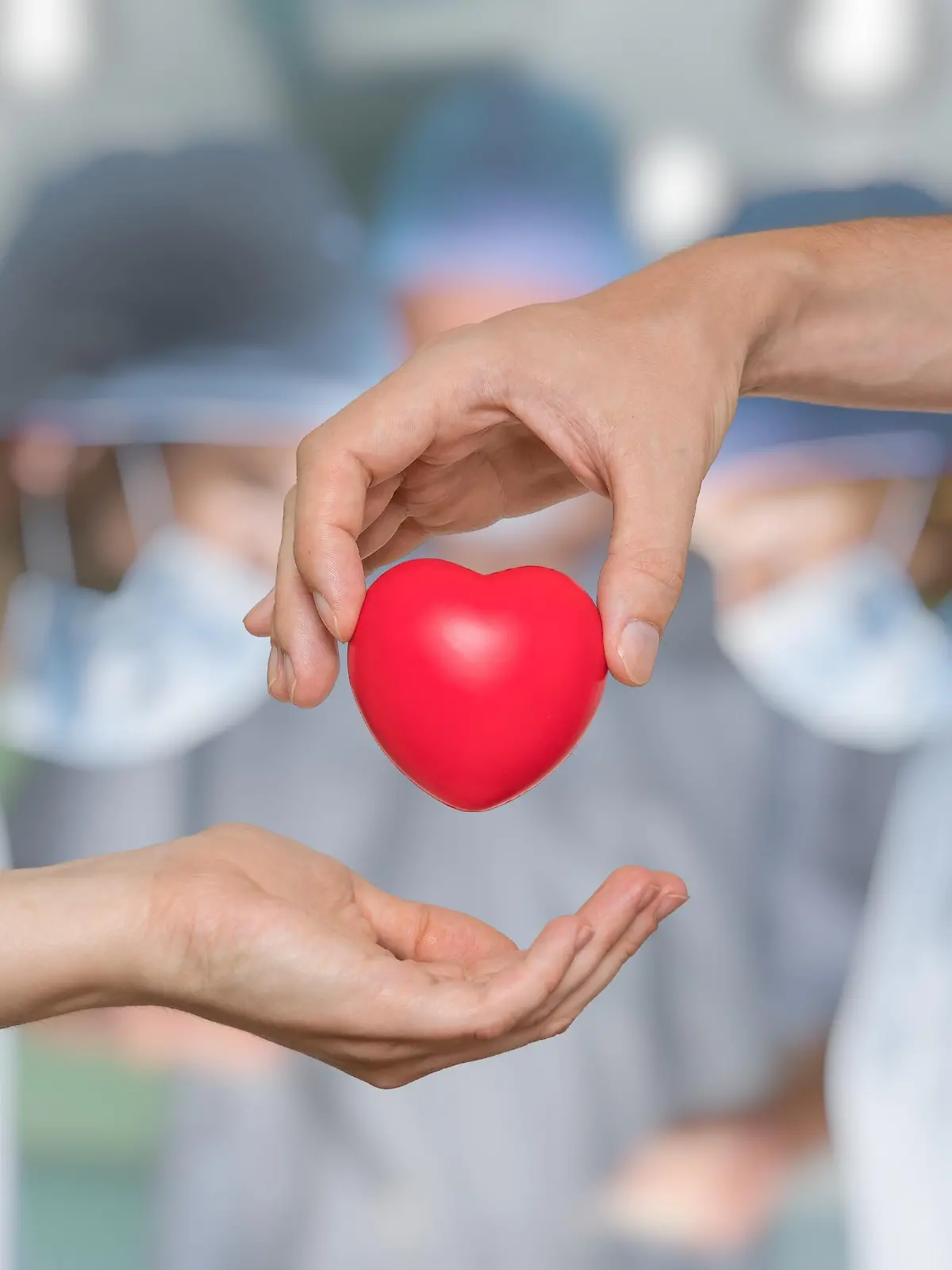 Heart transplant and organ donation concept. Hand is giving red heart.