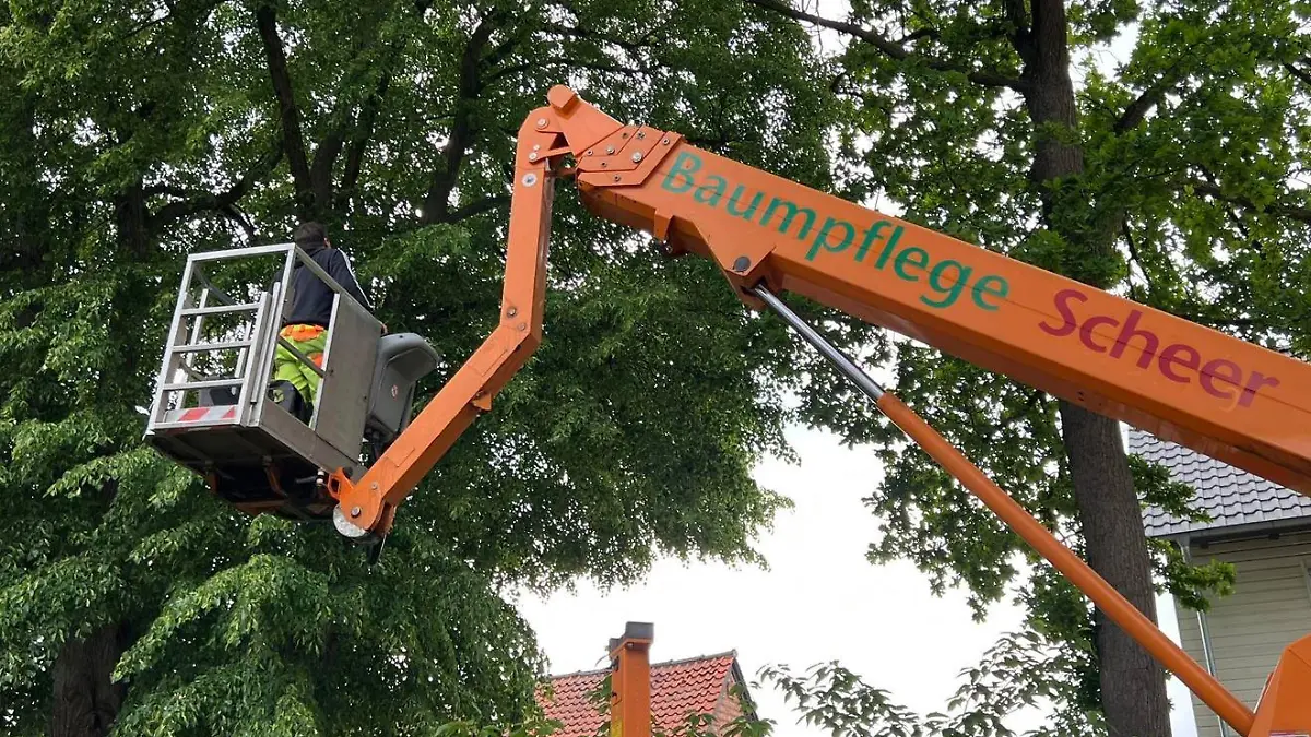 Halte durch, kleine Katze! Gleich wirst du gerettet!