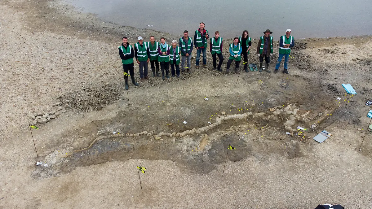 HANDOUT - 10.01.2022, Großbritannien, --: Undatiertes Handout-Foto, herausgegeben von Anglian Water, zeigt Paläontologen bei der Arbeit an dem Ichthyosaurier-Skelett, das im Rutland Nature Reserve gefunden wurde. Zehn Meter ist es lang und allein der Schädel wiegt eine Tonne - das sind die Maße eines Ichthyosaurier-Fossils, das britische Forscher in einem Stausee in den East Midlands gefunden haben. Foto: Anglian Water/PA Media/dpa - ACHTUNG: Nur zur redaktionellen Verwendung und nur mit vollständiger Nennung des vorstehenden Credits +++ dpa-Bildfunk +++