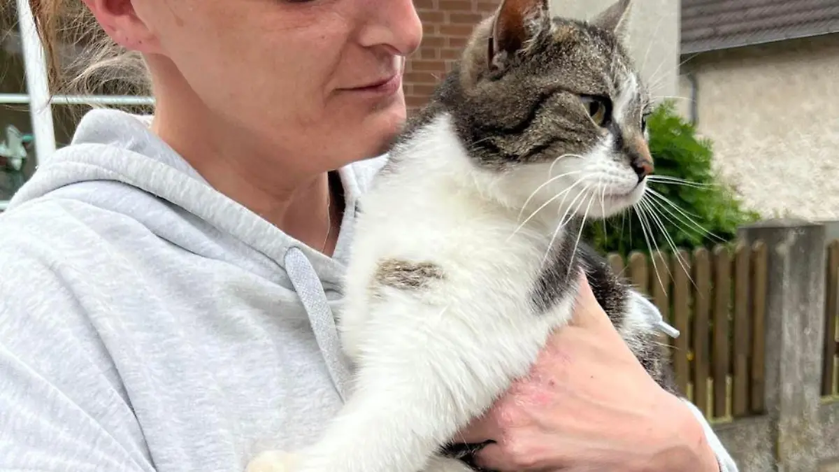 "Mountains" nach der Rettungsaktion. Die kleine Katze scheint den Aufenthalt im Baum gut überstanden zu haben.