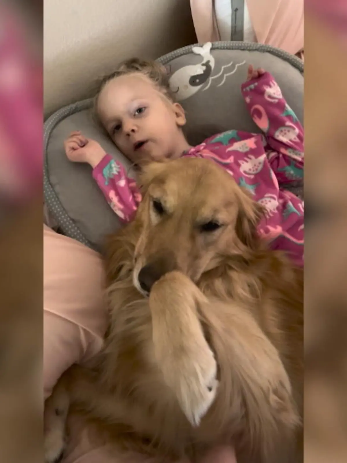 Die vierjährige Brynn leidet an einer Fehlfunktion des Nervenssystems und ist geistig behindert. Doch Golden Retriever Indie hat immer eine Idee, wie er das Mädchen zum Lachen bringen kann.