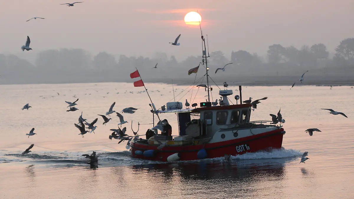 ARCHIV - 06.11.2018, Schleswig-Holstein, Lübeck-Travemünde: Begleitet von zahlreichen Möwen kommt am Morgen bei Sonnenschein der Fischkutter "GOT 1a" im Hafen von Lübeck-Travemünde an. Ostsee und Nordsee haben sich in den vergangenen Jahrzehnten deutlich erwärmt. (zu dpa «Temperatur der Nordsee seit 1969 um 1,3 Grad angestiegen») Foto: Bodo Marks/dpa +++ dpa-Bildfunk +++