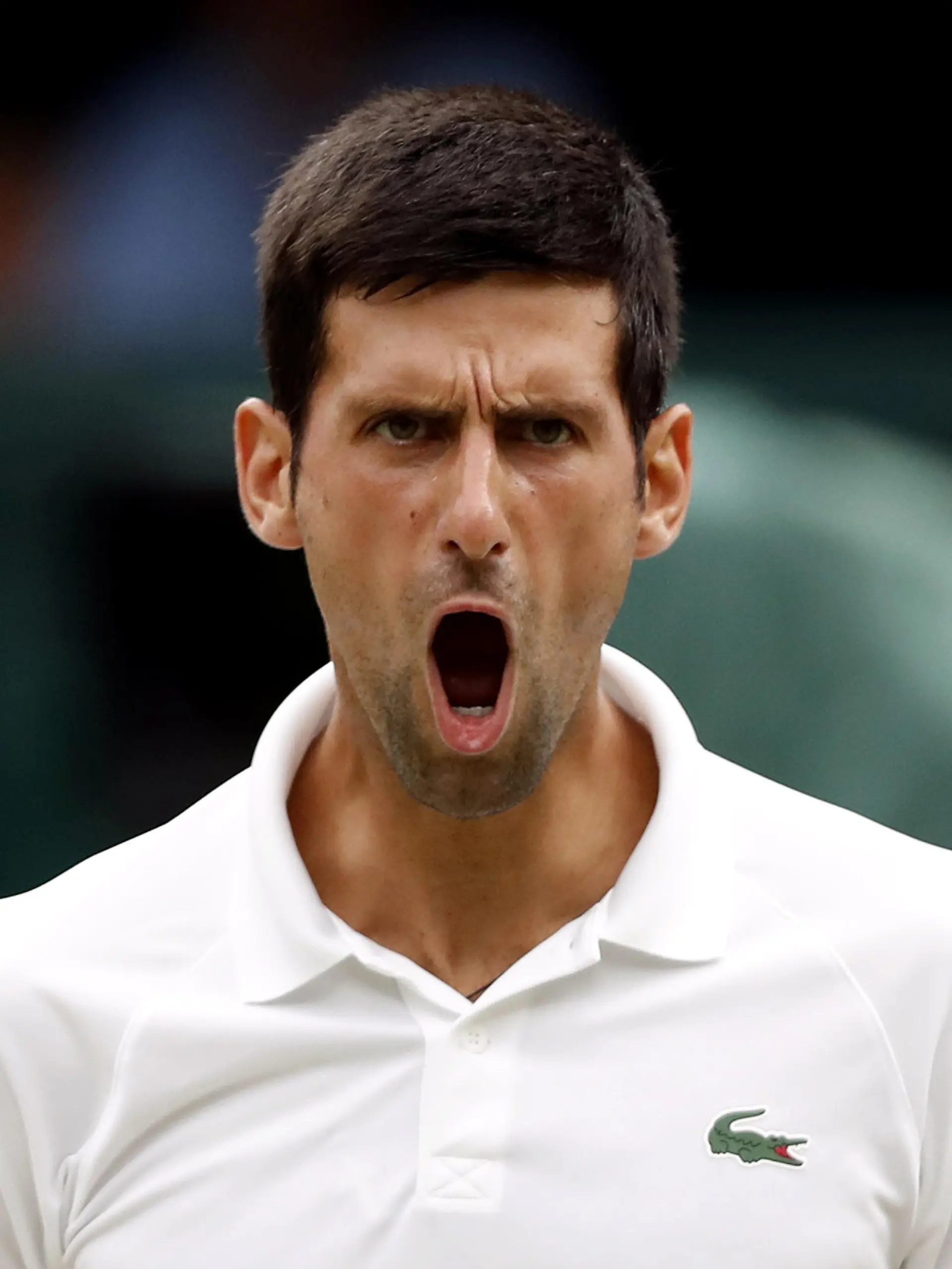 Novak Djokovic File Photos. File photo dated 14-07-2018 of Novak Djokovic reacts. World number one Novak Djokovic "failed to provide appropriate evidence to meet the entry requirements to Australia" and his visa has been cancelled, the Australian Border Force has announced. Issue date: Wednesday January 5, 2022. See PA story TENNIS Djokovic. Photo credit should read Nic Bothma/PA Wire. URN:64602507