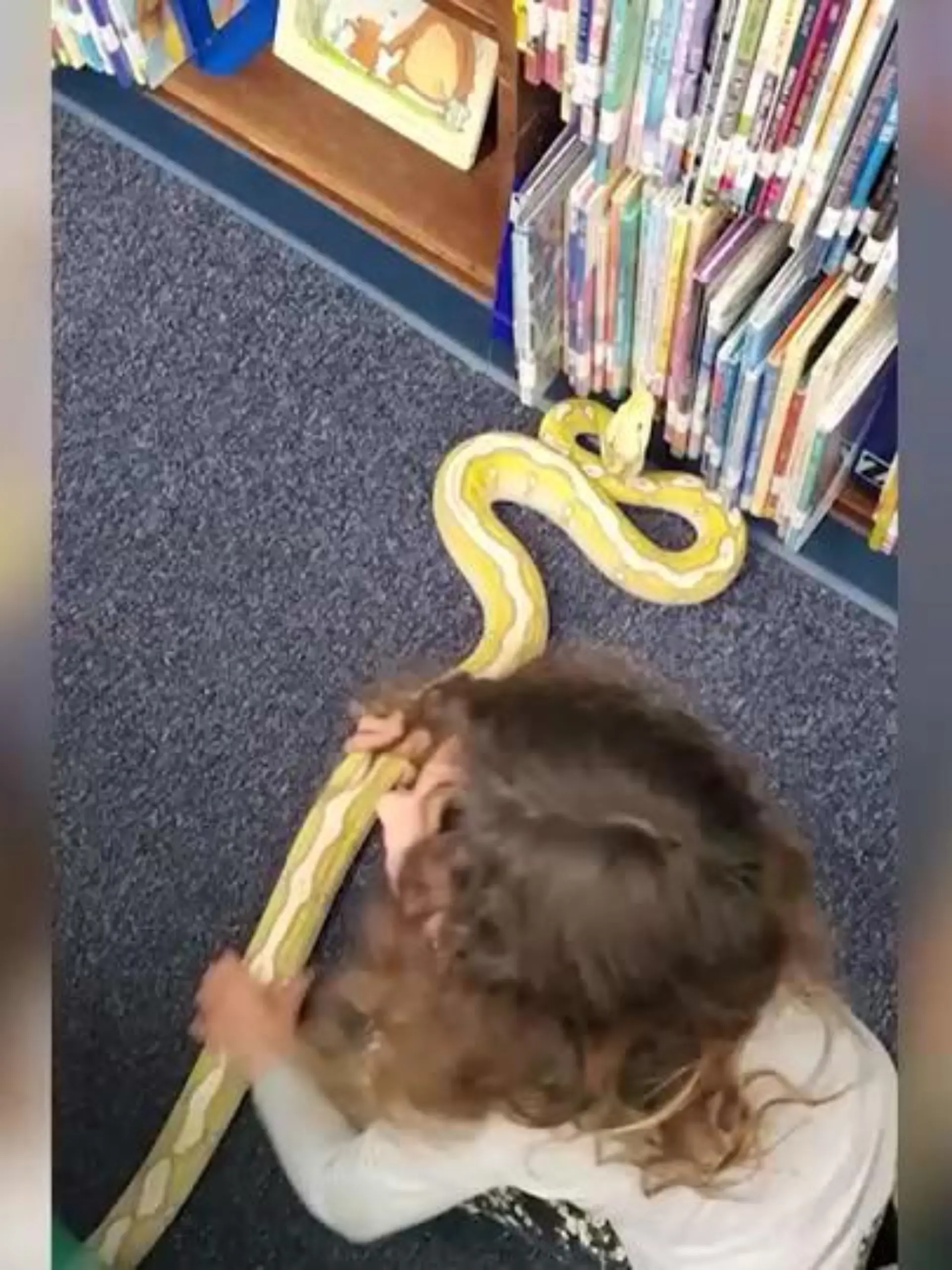 Diese Mädchen findet beim Spielen in einer Bibliothek eine Pythonschlange.