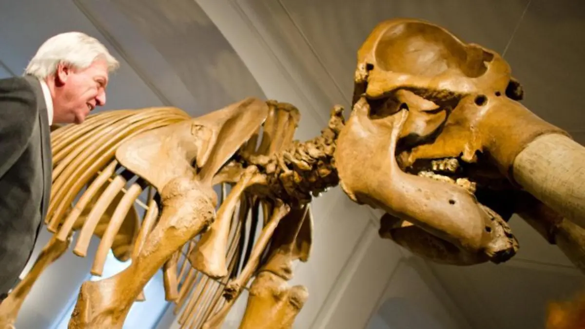 Peale's Mastodon