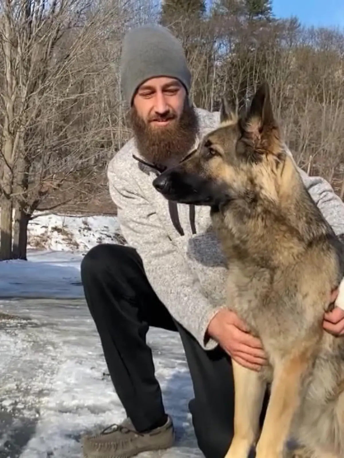 Tinsley wurde herrenlos auf einer Brücke zwischen New Hampshire und Vermont gefunden. Die Polizei versuchte, die Hündin zu fassen, aber sie rannte immer wieder weg und führte die Beamten zu einer kaputten Leitplanke - und rettete so das Leben ihres mit einem Auto verunglückten Besitzers.