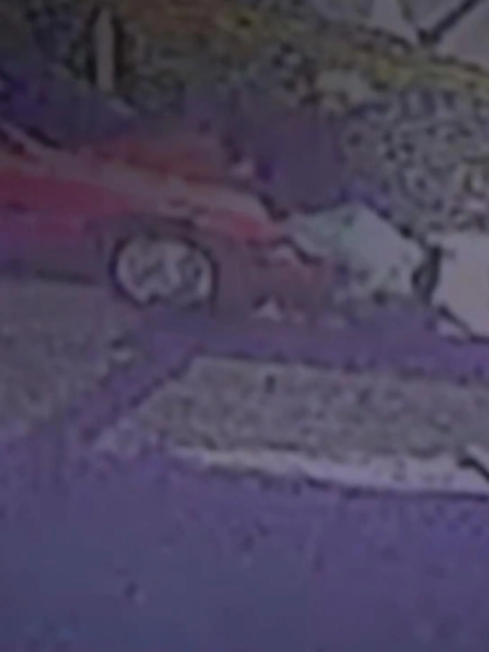 Statt im Restaurant zu zahlen, dampft ein Paar einfach ab - und nimmt den Restaurant-Leiter auf der Motorhaube mit, als er sich ihnen in den Weg stellt.