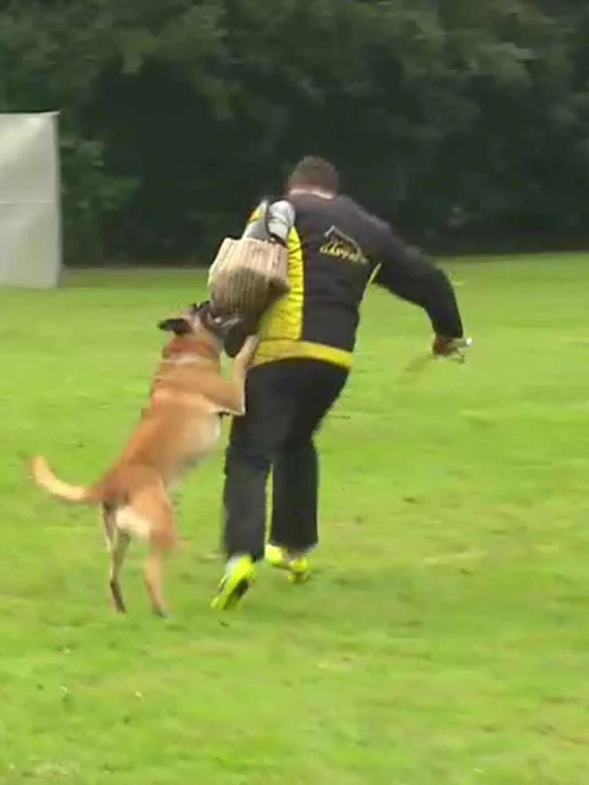 Schutzhund