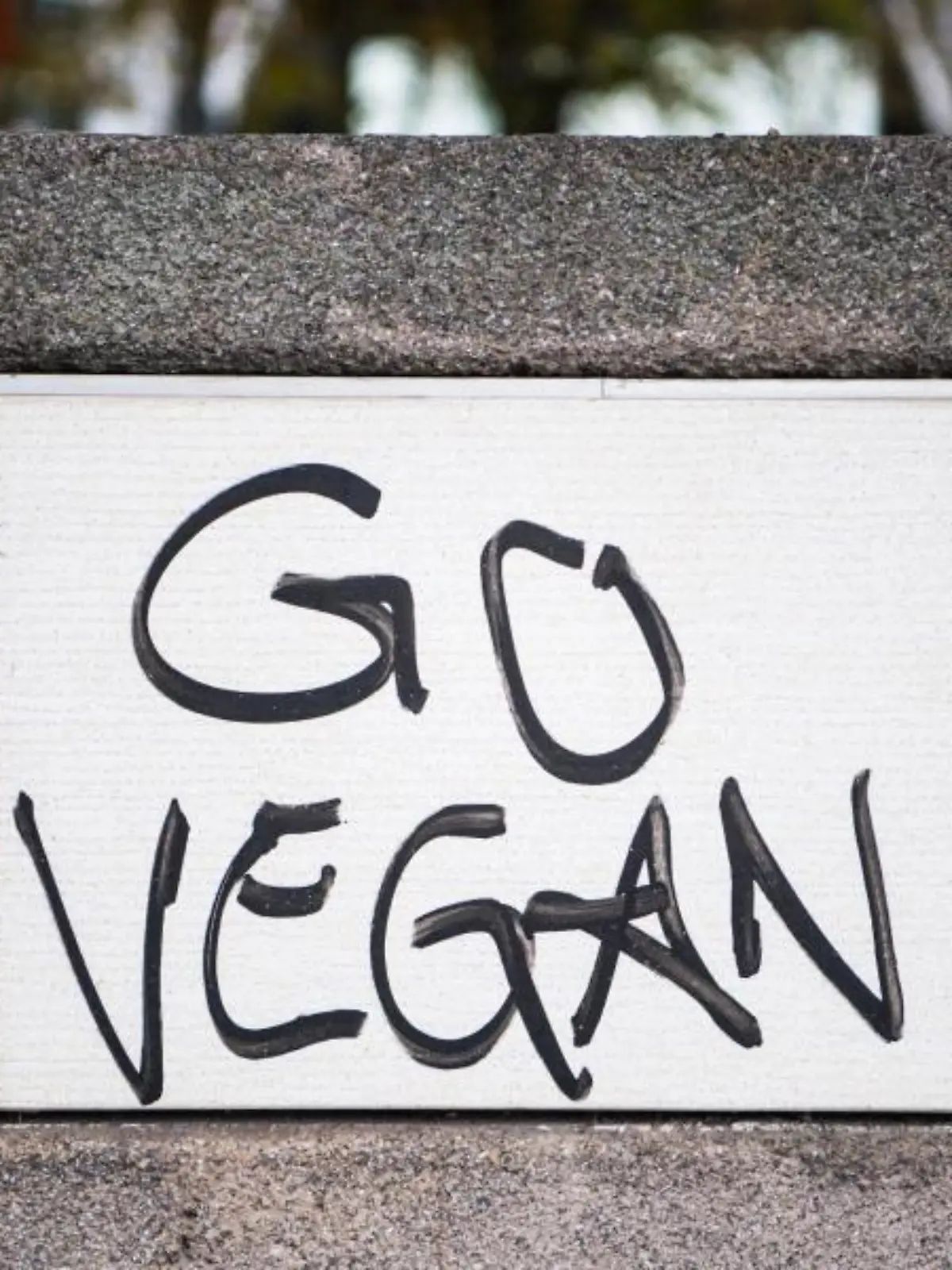 «Veganuary»