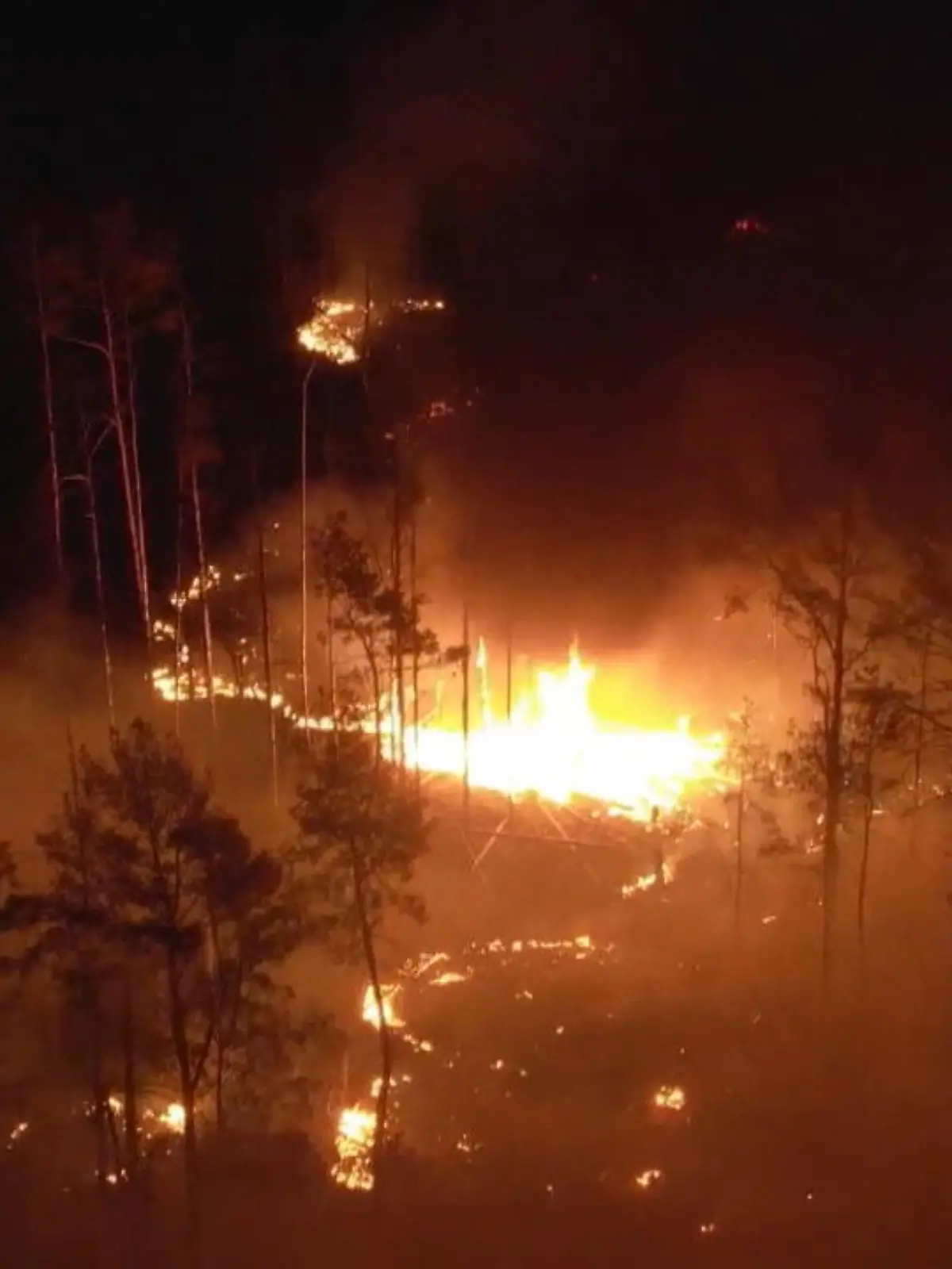 Der Waldbrand bei Jüterbog in Brandenburg breitet sich immer weiter aus. Eine Fläche von 326 Hektar ist bislang betroffen. Die Feuerwehr kann den Brand nur vom Waldrand aus löschen, da die Fläche munitionsversucht ist. Zu groß ist die Explosionsgefahr. Da wo das Feuer lodert, war früher mal ein Truppenübungsplatz. Die Hoffnung der Feuerwehr sind nun Feuerschneisen, die den Brand stoppen sollen. Diese 50 Meter breiten Wege sollen den Flammen kein weiteres Brennmaterial mehr geben.