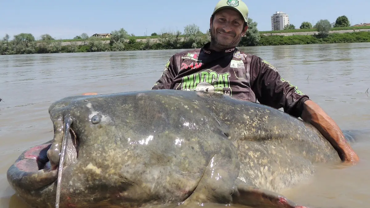 A person holds a giant catfish in Mantua, Italy, May 25, 2023, in this picture obtained from social Media. Alessandro Biancardi Madcat/via REUTERS THIS IMAGE HAS BEEN SUPPLIED BY A THIRD PARTY. MANDATORY CREDIT. NO RESALES. NO ARCHIVES.
