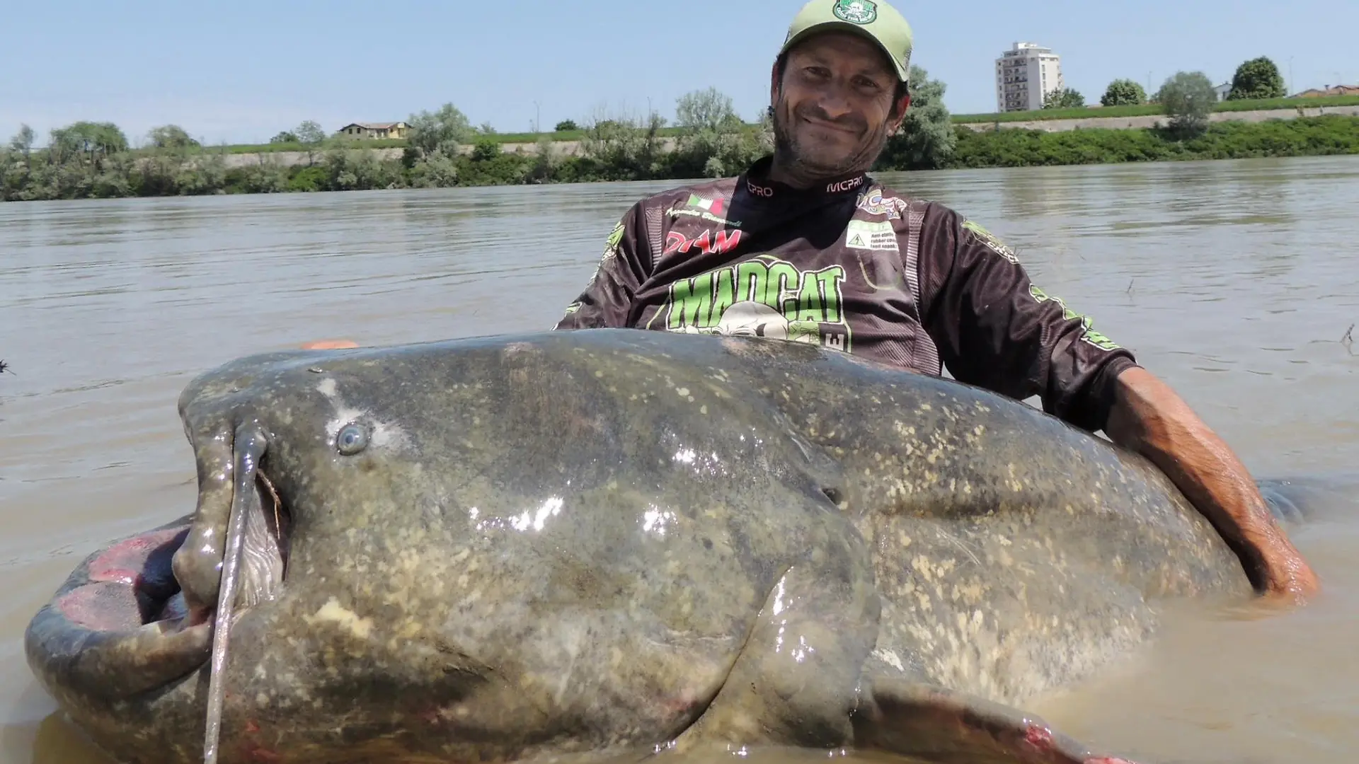 A person holds a giant catfish in Mantua, Italy, May 25, 2023, in this picture obtained from social Media. Alessandro Biancardi Madcat/via REUTERS THIS IMAGE HAS BEEN SUPPLIED BY A THIRD PARTY. MANDATORY CREDIT. NO RESALES. NO ARCHIVES.