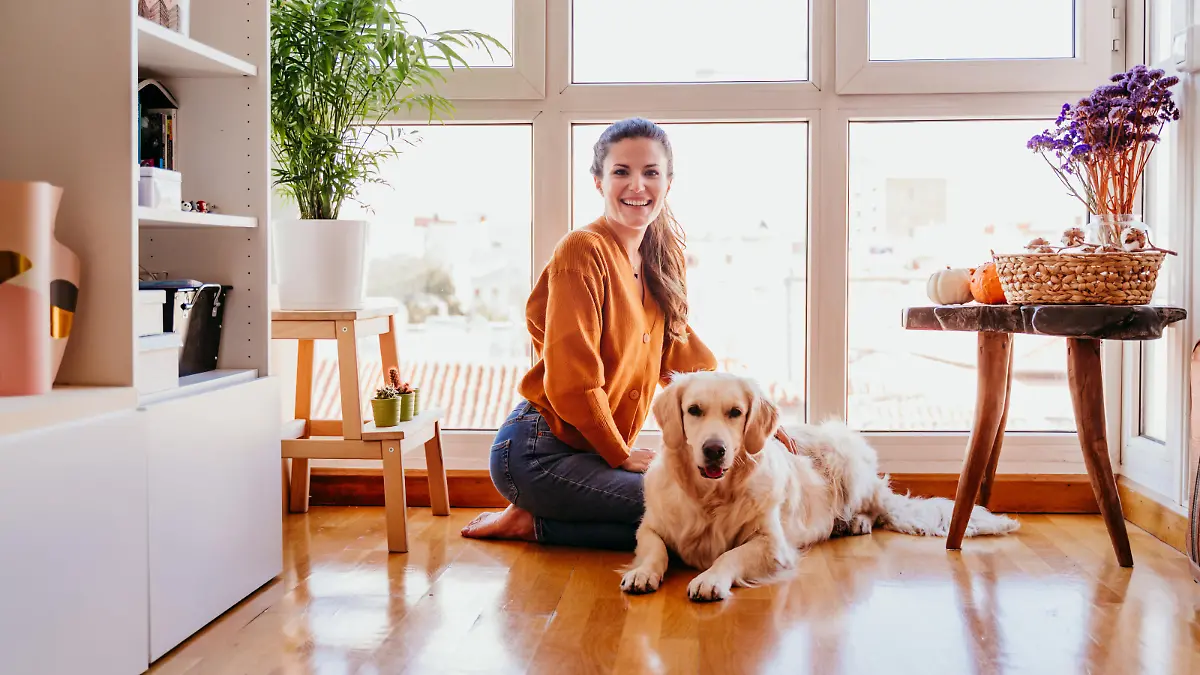 beautiful woman hugging her adorable golden retriever dog at home. love for animals concept. lifestyle indoors