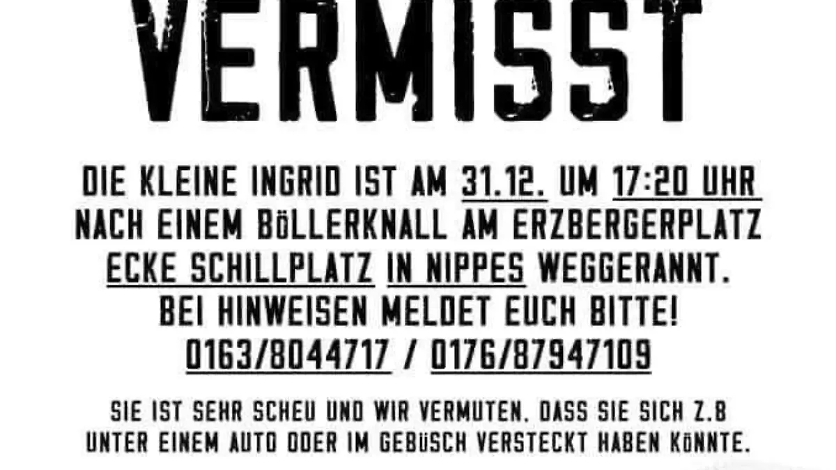 Hat jemand Ingrid gesehen?