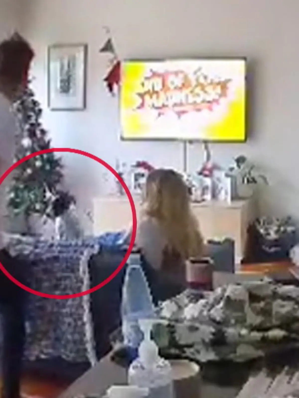 Dieser Typ posiert hier im Spaß ein bisschen rum. Will wohl seinen besten Cricket-Schlag demonstrieren. Ausgerechnet in diesem Moment kommt Hündchen Arlo dazwischen...