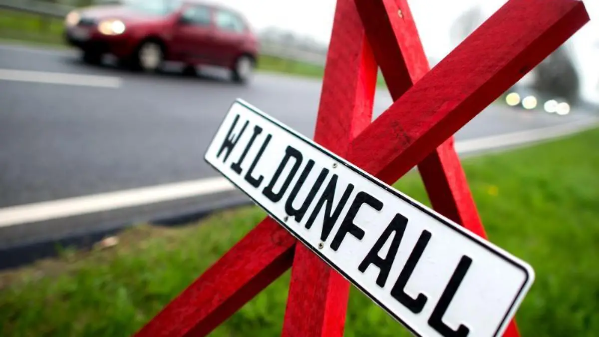 Hauke-Christian Dittrich