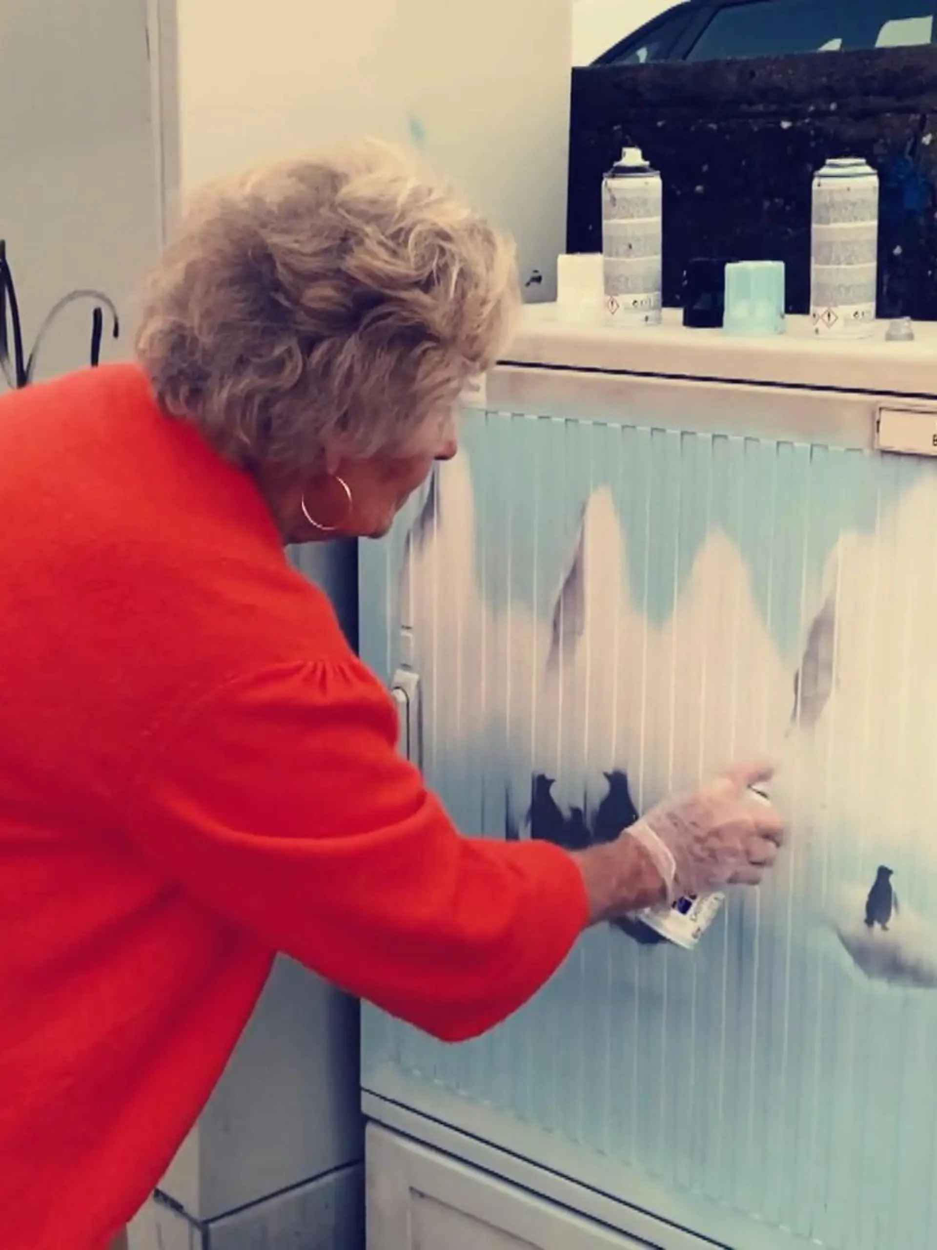 Wenn Inge Hess (81) einen beschmierten Stromkasten sieht, muss sie selbst zur Spraydose greifen. Aus Schandflecken werden dank der ambitionierten Rentnerin wahre Kunstwerke.