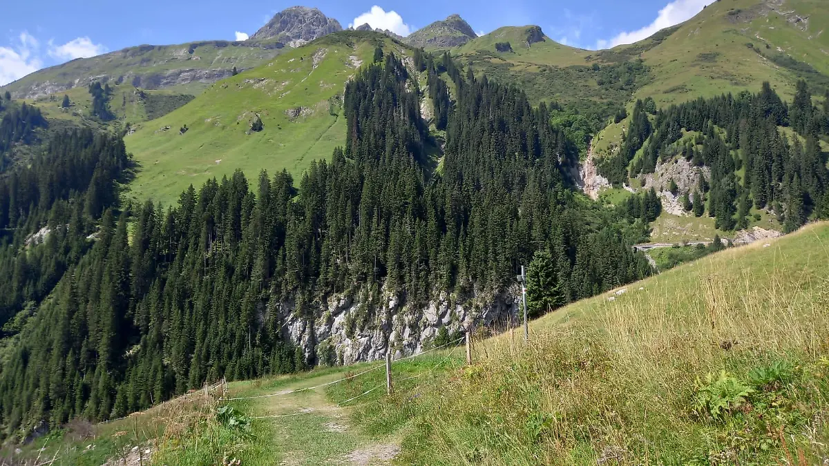 Die Retterin in der Not war auf dem idyllischen Lechweg unterwegs.
