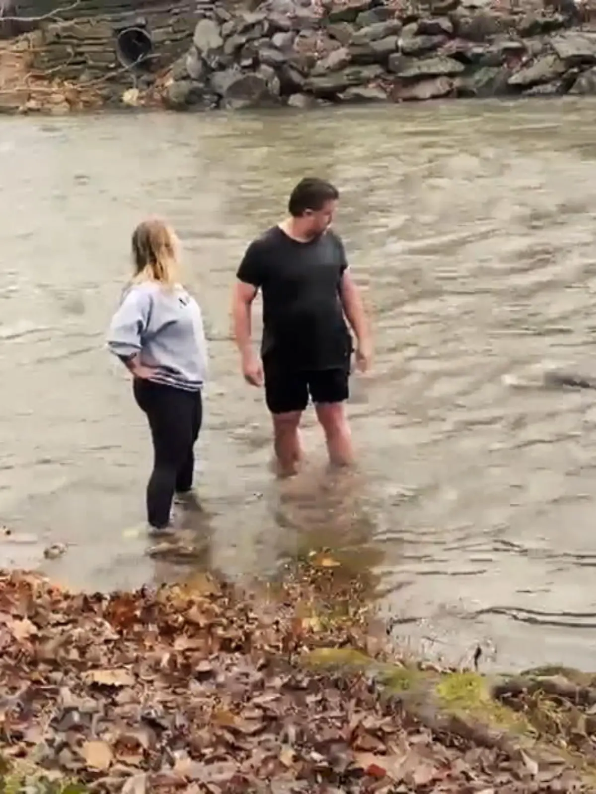 Der Biber aus unserem Video versucht sich als Raubfisch. Wie im Film "der weiße Hai" taucht er in Richtung eines Paares und erschreckt es fast zu Tode.