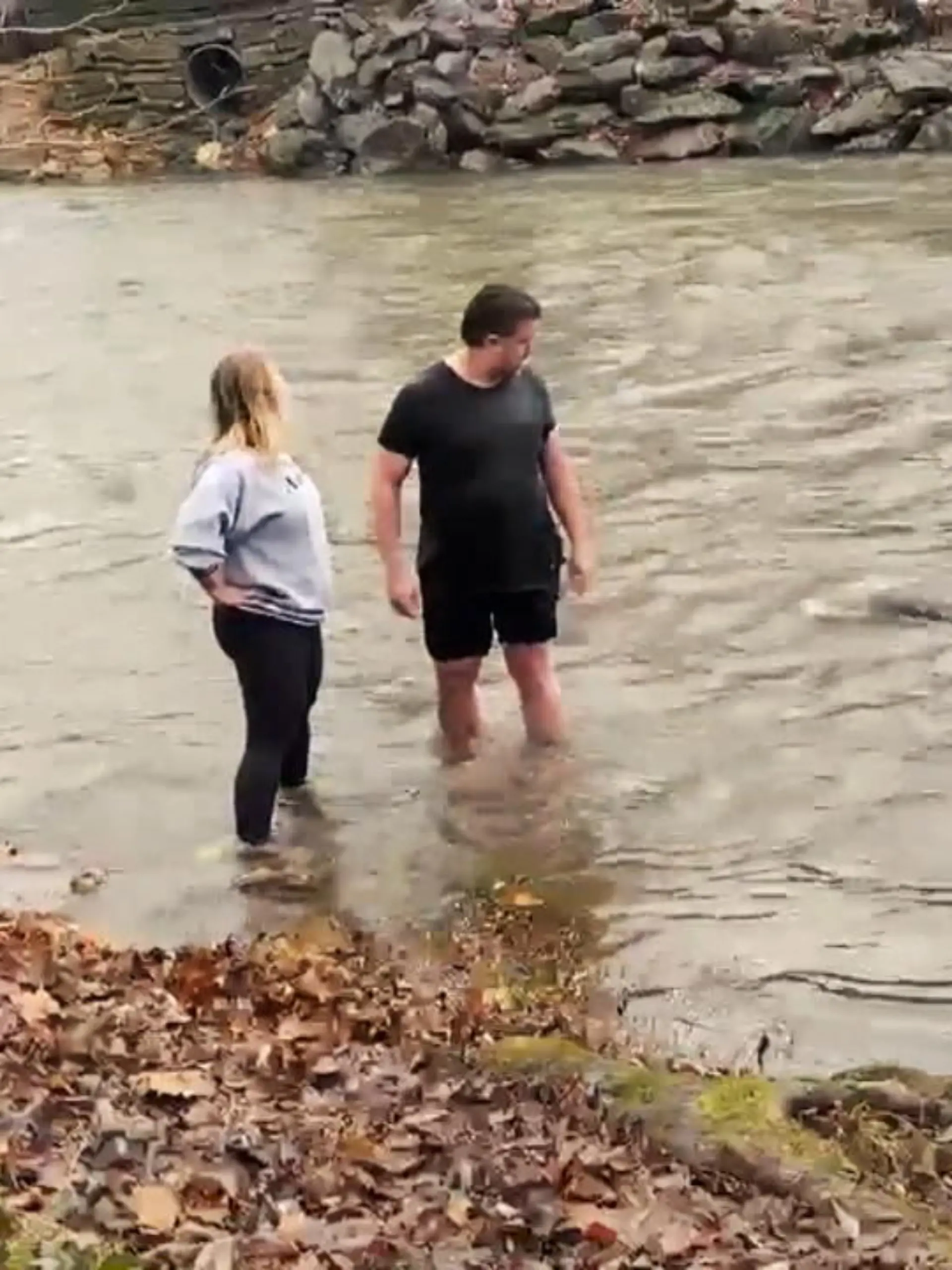 Der Biber aus unserem Video versucht sich als Raubfisch. Wie im Film "der weiße Hai" taucht er in Richtung eines Paares und erschreckt es fast zu Tode.