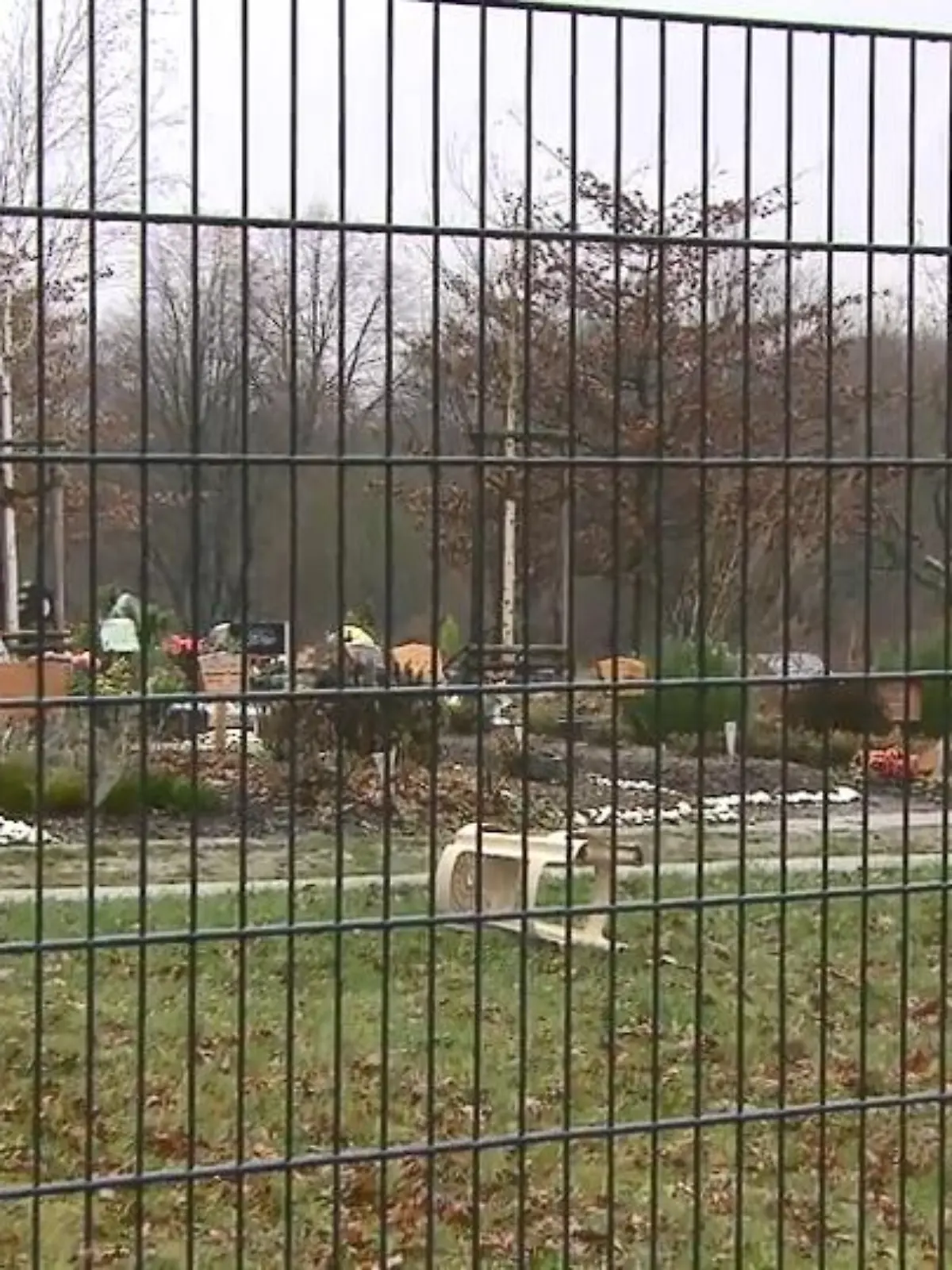 Bild zu: "Friedhof gegen Flugverein"