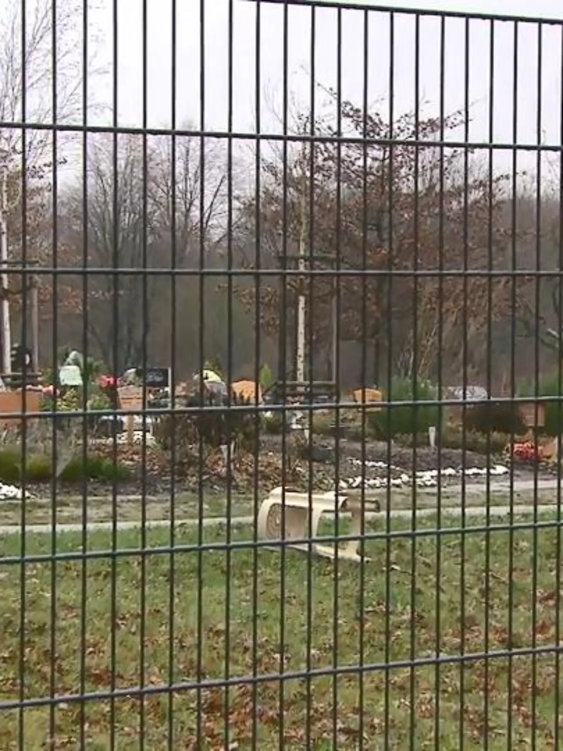 Bild zu: "Friedhof gegen Flugverein"