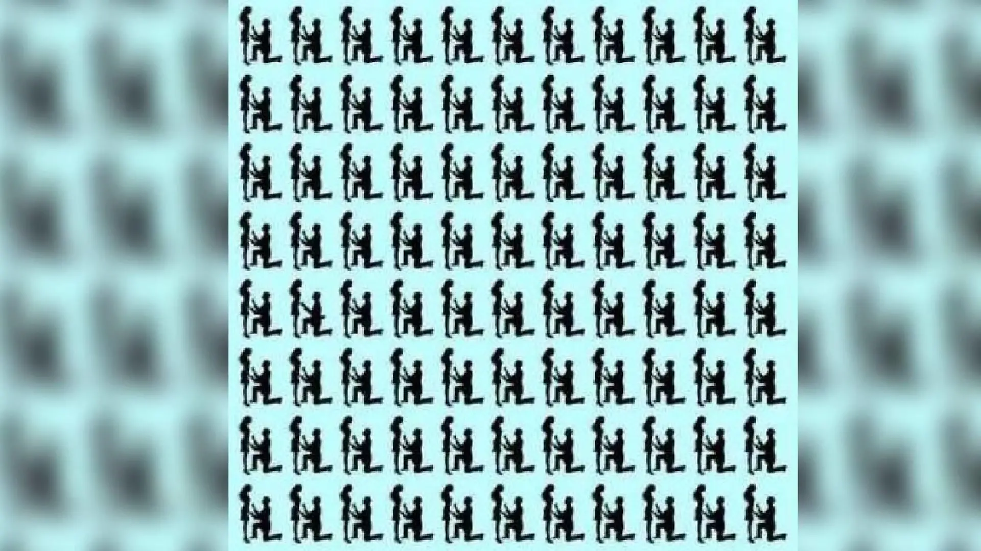 Suchbild - viele Heiratsanträge