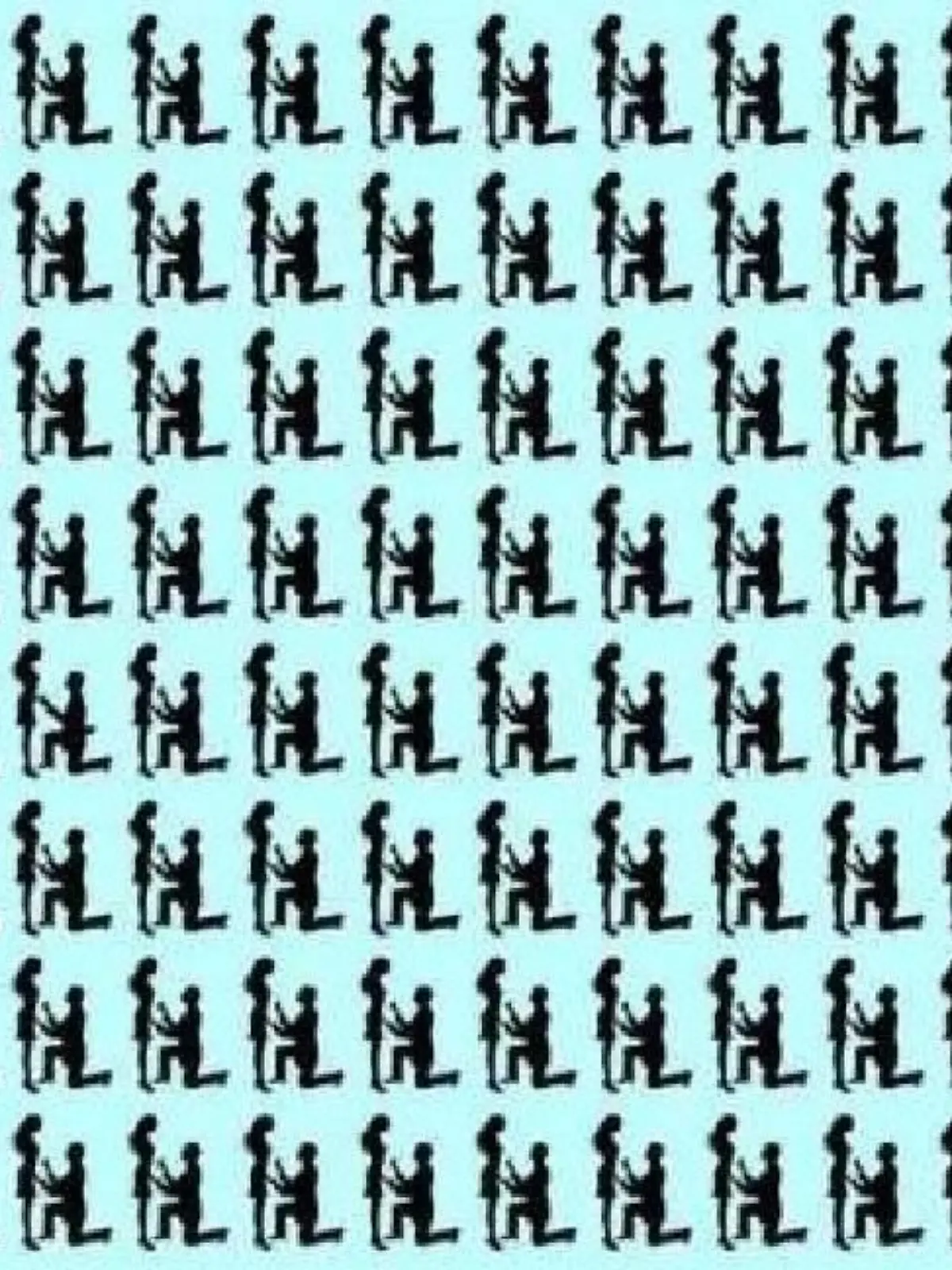 Suchbild - viele Heiratsanträge