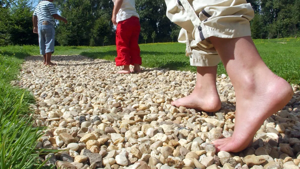 Eine Mutter geht mit ihren beiden Kindern mit nackten Füßen auf groben Kieselsteinen am Freitag (20.08.2004) auf dem ersten Barfuß-Wanderweg am Niederrhein der Stadt Neuß. Auf 300 Metern können sich dort Wanderer barfuß fortbewegen und unterschiedliche Bodenbeläge wie Sand, Steine, Kies, Lehm oder Rindenstücke spüren und so die Natur bewusster erleben. Durch starke und schwache Reize werden die Füsse stimuliert und Muskeln-und Gelenke gestärkt. Foto: Horst Ossinger dpa/lnw