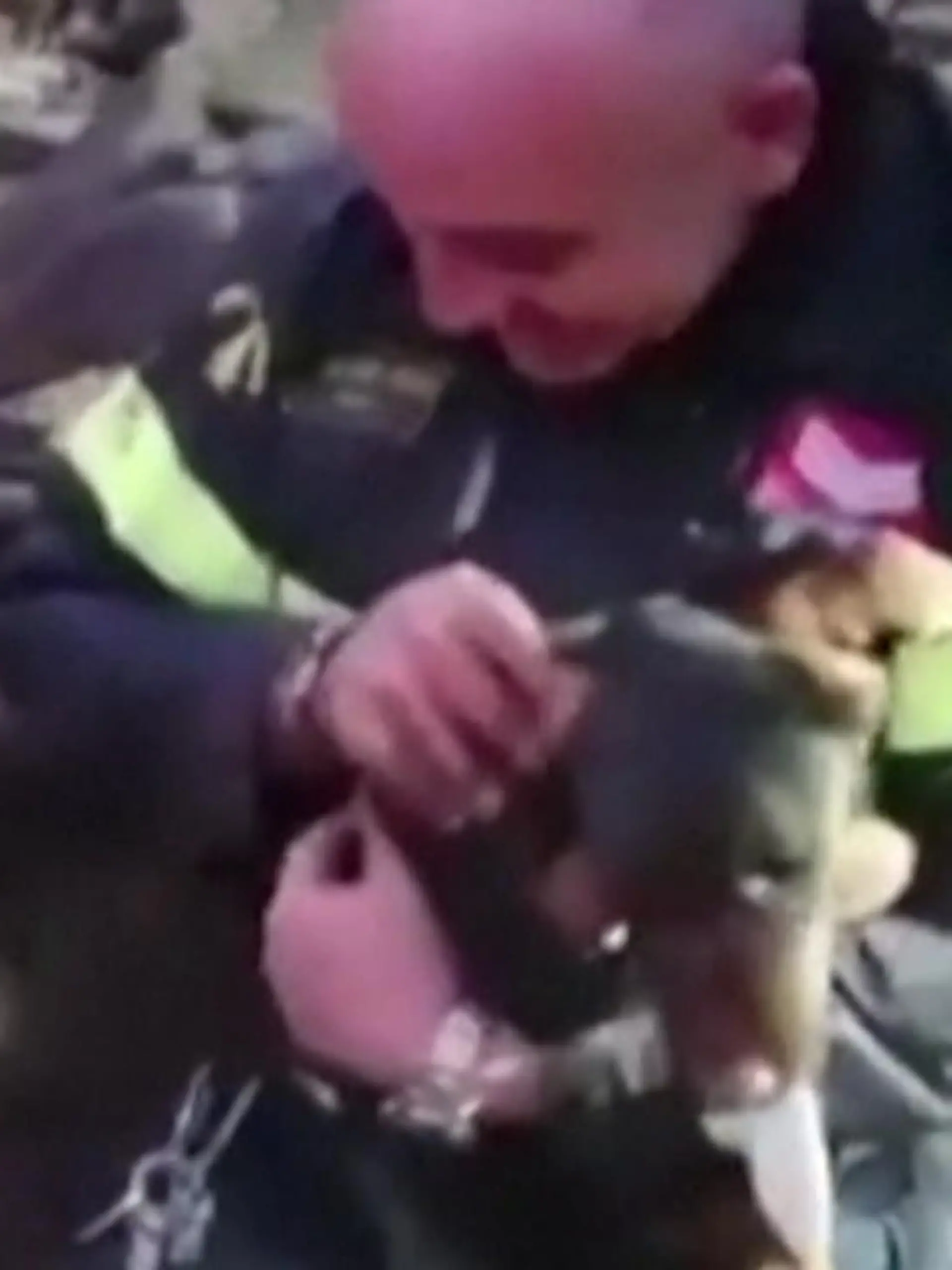 Bei der Jagd bleibt ein Hund in einem Fuchbsu stecken. Nur mit bloßen Händen  graben sich Experten der italienischen Feuerwehr zu dem Tier im Fuchsbau vor vor und können den Hund so befreien