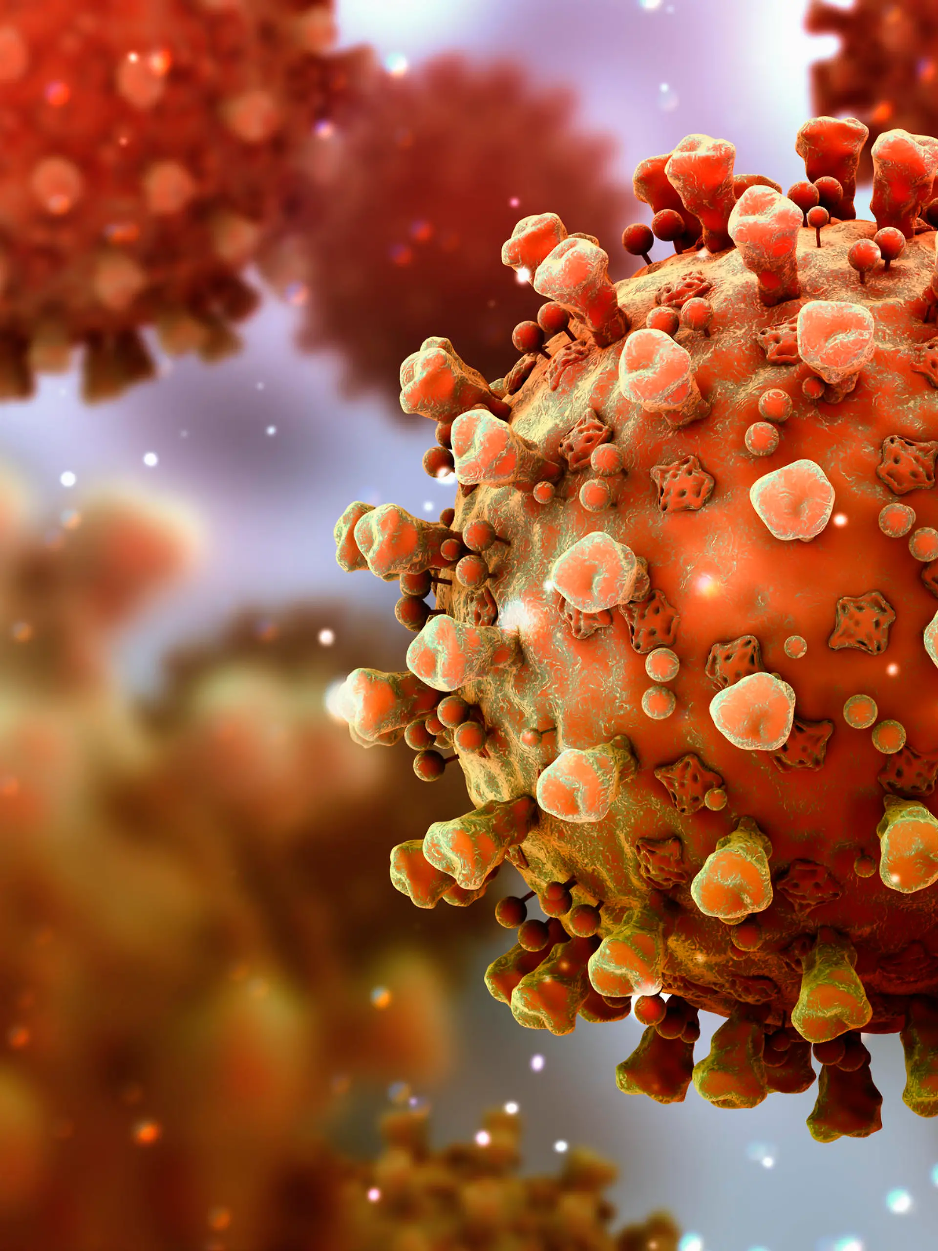 coronaviruses, virus that causes respiratory infections