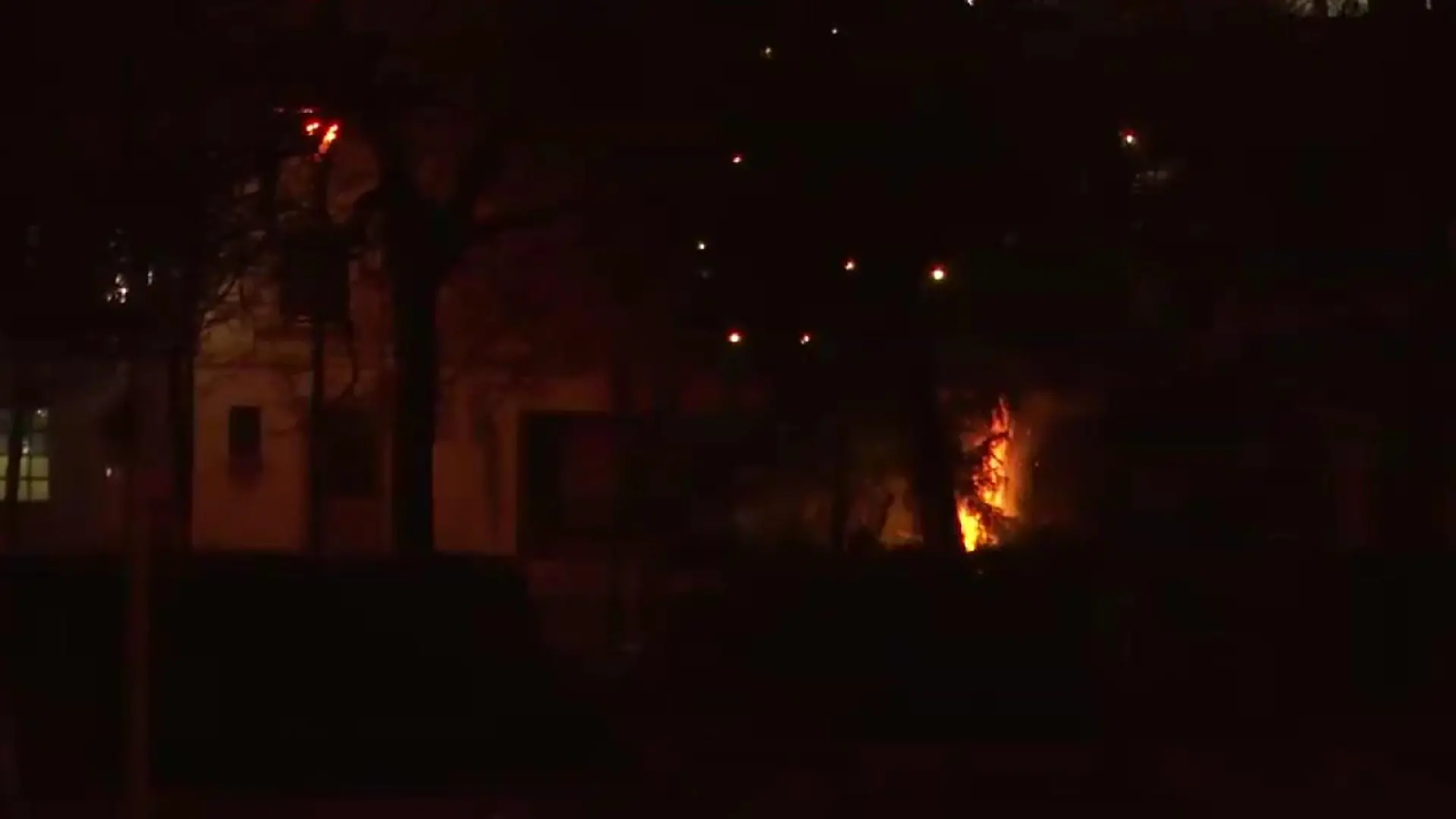 15 Meter hohe Tanne wird Opfer von Brandstiftern.