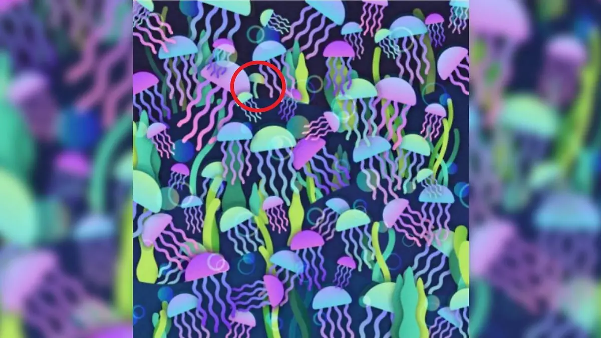 Pilz Suchbild Quallen