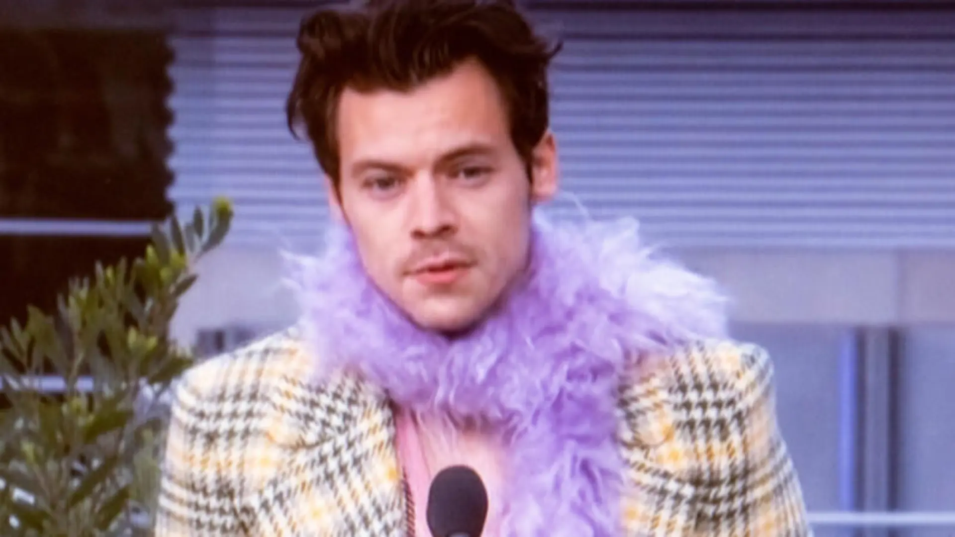 Harry Styles und Olivia Wilde: Ihre Romanze wird immer ernster!