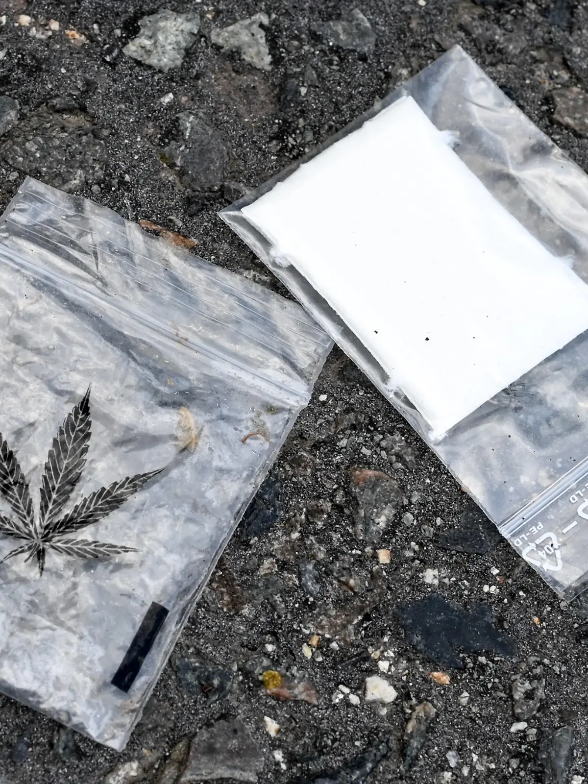 ARCHIV - 02.07.2021, Berlin: Zwei Tüten mit einem Aufdruck, der ein Hanfblatt zeigt, liegen in einem Park in Berlin auf dem Boden. (Illustration zu dpa: Schizophrenie durch Cannabis-Konsum - Juristen und Mediziner warnen) Foto: Jens Kalaene/dpa-Zentralbild/dpa +++ dpa-Bildfunk +++