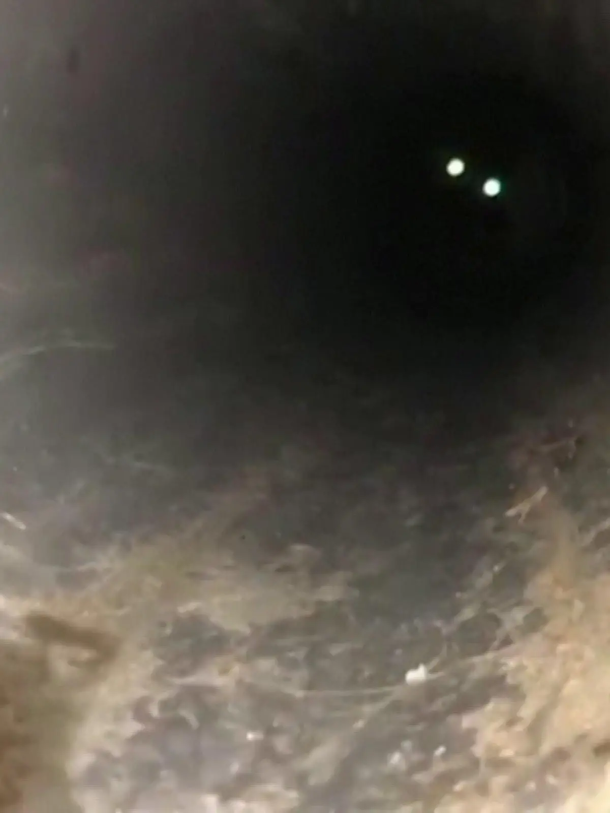 Ein Hundewelpe aus dem Westen Spaniens hatte sich in ein Gartenrohr verirrt, und kam ohne fremde Hilfe nicht mehr raus. Mit Schlagbohrer und Säge arbeitet sich die Polizei zu dem kleinen Schäferhund vor. Und kann ihn schließlich unverletzt in die Arme seiner Besitzerin legen.
