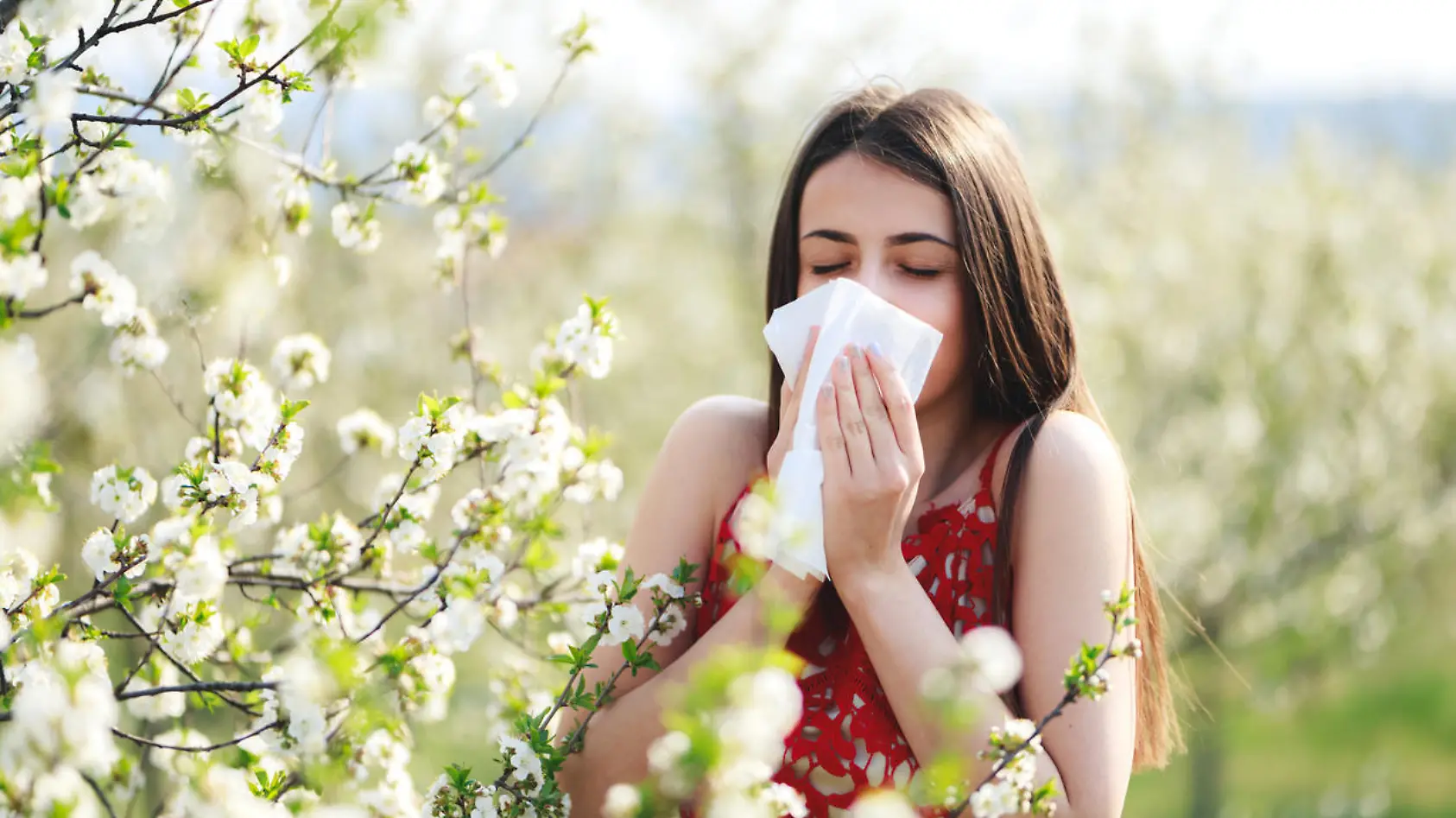 Ist das die Hoffnung für Allergiker?