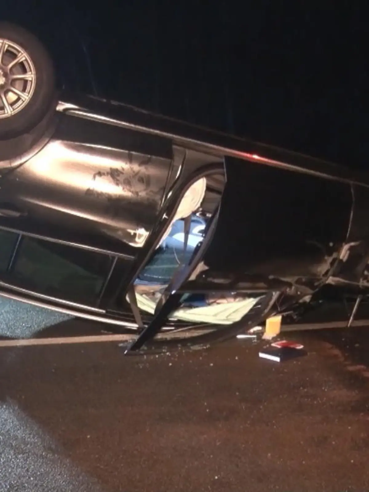 Das Tier wird von einem LKW getroffen und auf die Überholspur geschleudert.