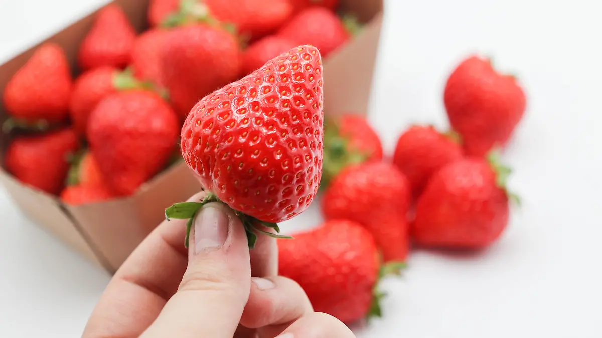 24.05.2023, Handenberg, AUT, Unterwegs in Oberösterreich, Symbolbild, Themenbild, Verschiedene Themenbilder Erdbeeren, Erdbeer, im Bild Erdbeere, Schlagobers, Verkaufsbox, Schriftzug, Sahne, Schüssel mit Erdbeeren, Teller, Schlag, Feature / 240523
