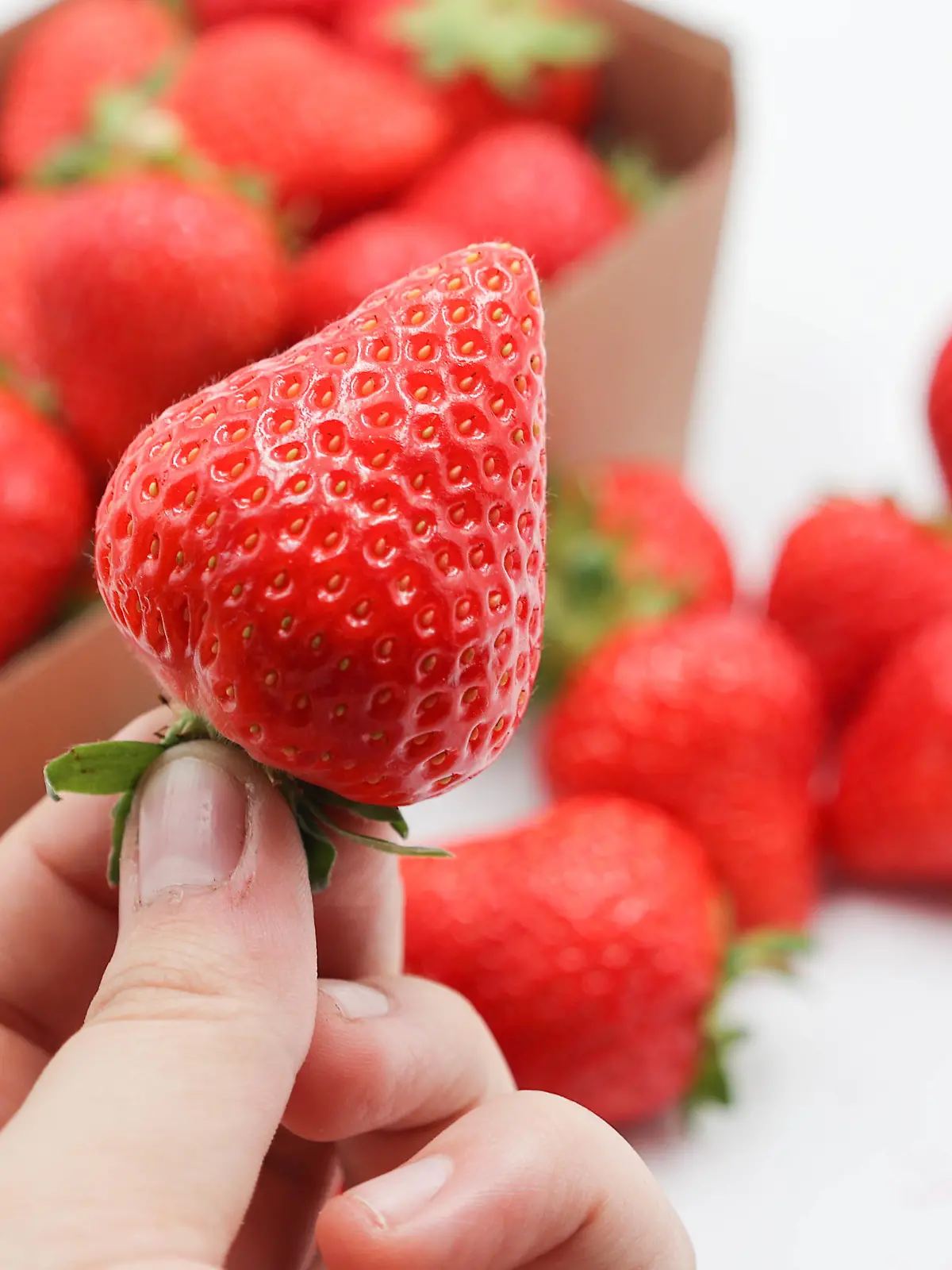 24.05.2023, Handenberg, AUT, Unterwegs in Oberösterreich, Symbolbild, Themenbild, Verschiedene Themenbilder Erdbeeren, Erdbeer, im Bild Erdbeere, Schlagobers, Verkaufsbox, Schriftzug, Sahne, Schüssel mit Erdbeeren, Teller, Schlag, Feature / 240523