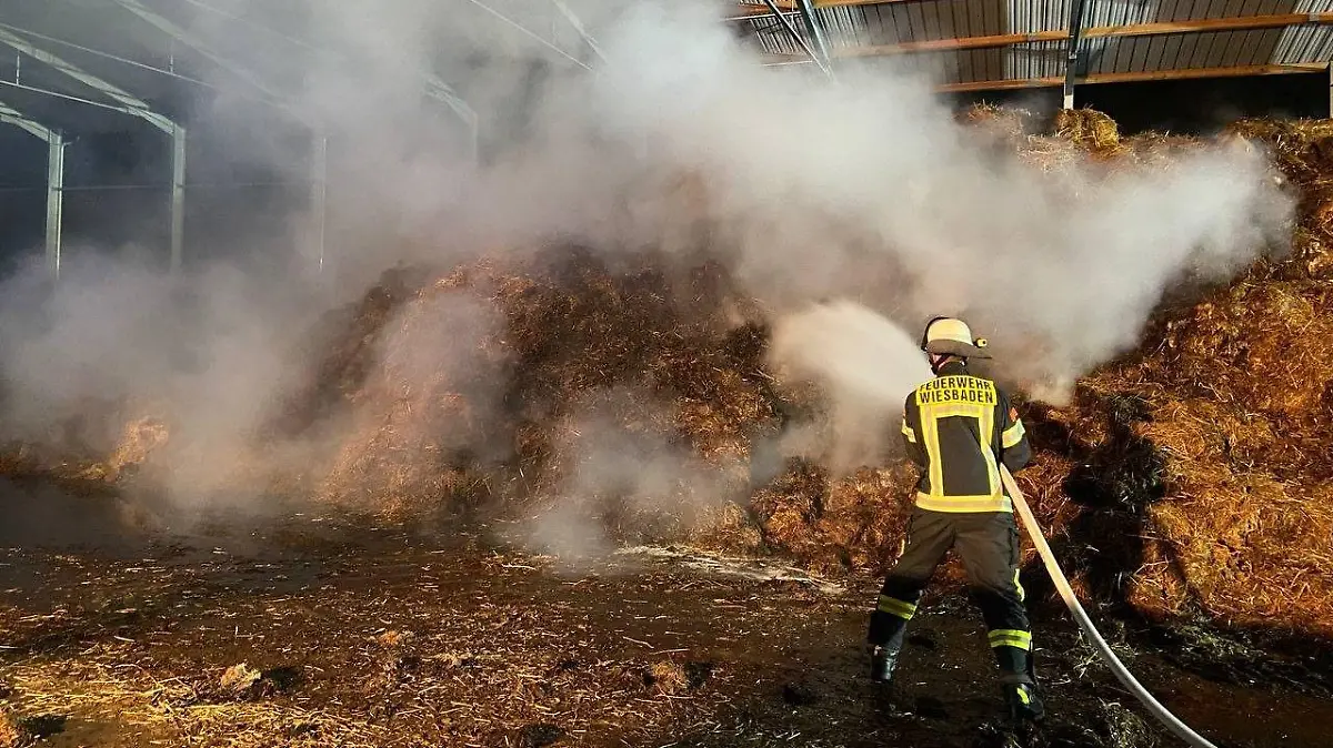 Schwelbrand im Misthaufen in Wiesbaden: Bislang gibt es keine Hinweise auf Brandstiftung.