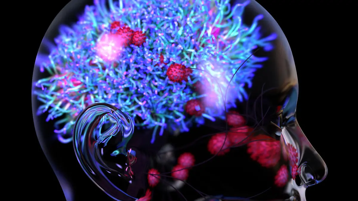 Coronavirus or viruses travel into brain through nose, COVID-19 can damage brain, causing symptoms like delirium and confusion