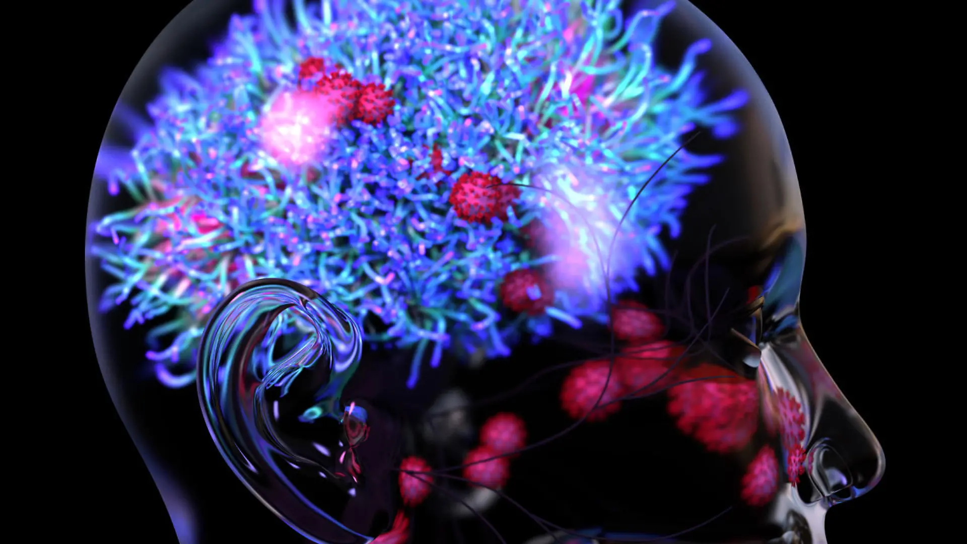 Coronavirus or viruses travel into brain through nose, COVID-19 can damage brain, causing symptoms like delirium and confusion