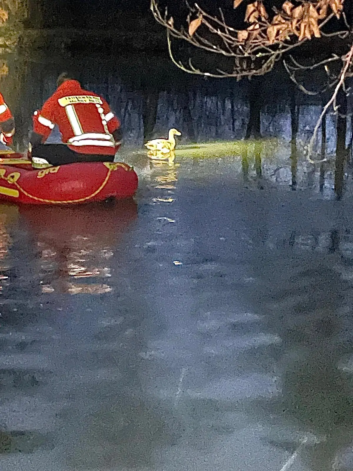 Festgefrorene Ente und Feuerwehr mit Schlauchboot.